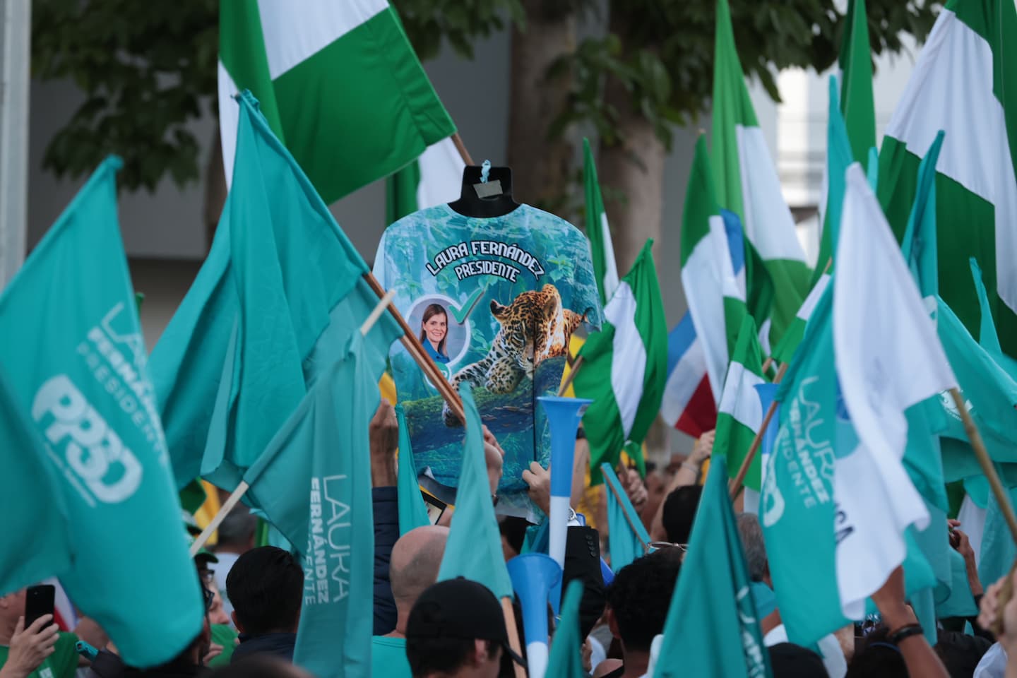 Los signos externos forman parte del gasto electoral que se puede cubrir con la deuda política tras las elecciones. Foto: