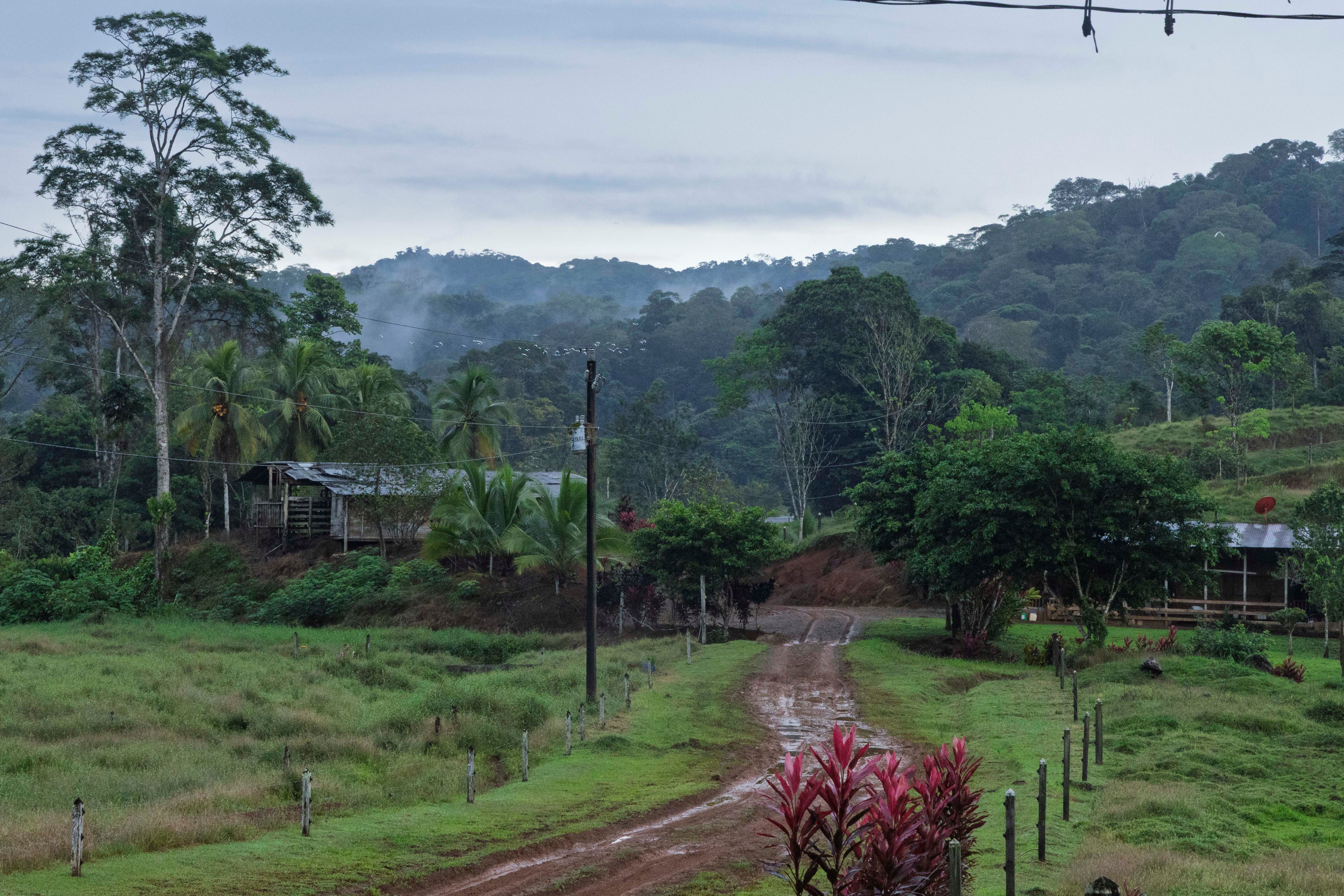 Túneles de extracción ilegal de 20 a 30 metros de profundidad en el cerro Conchudita.