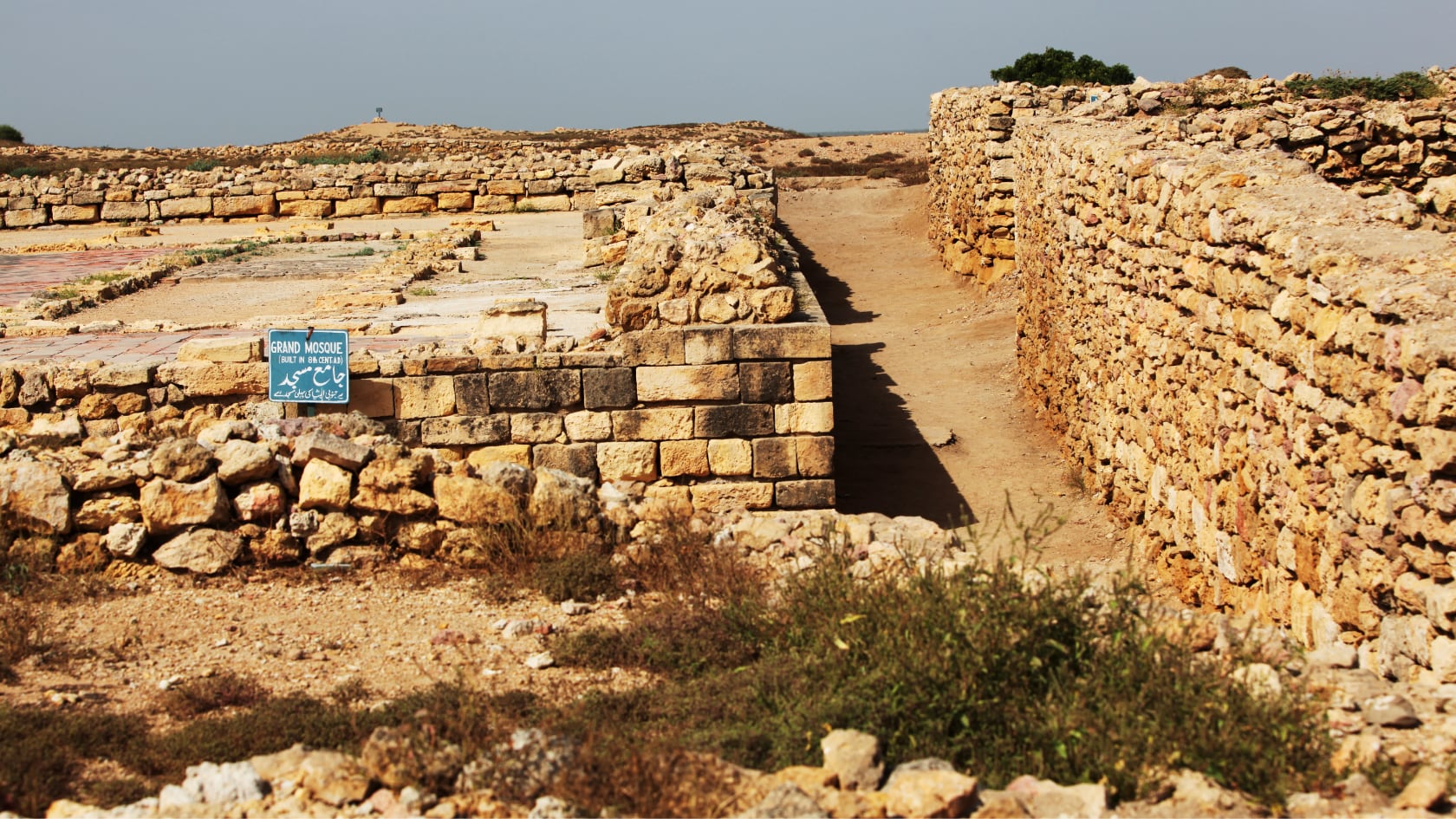 La sequía prolongada y una débil gestión de recursos llevaron al declive de Harappa, civilización clave del Valle del Indo.