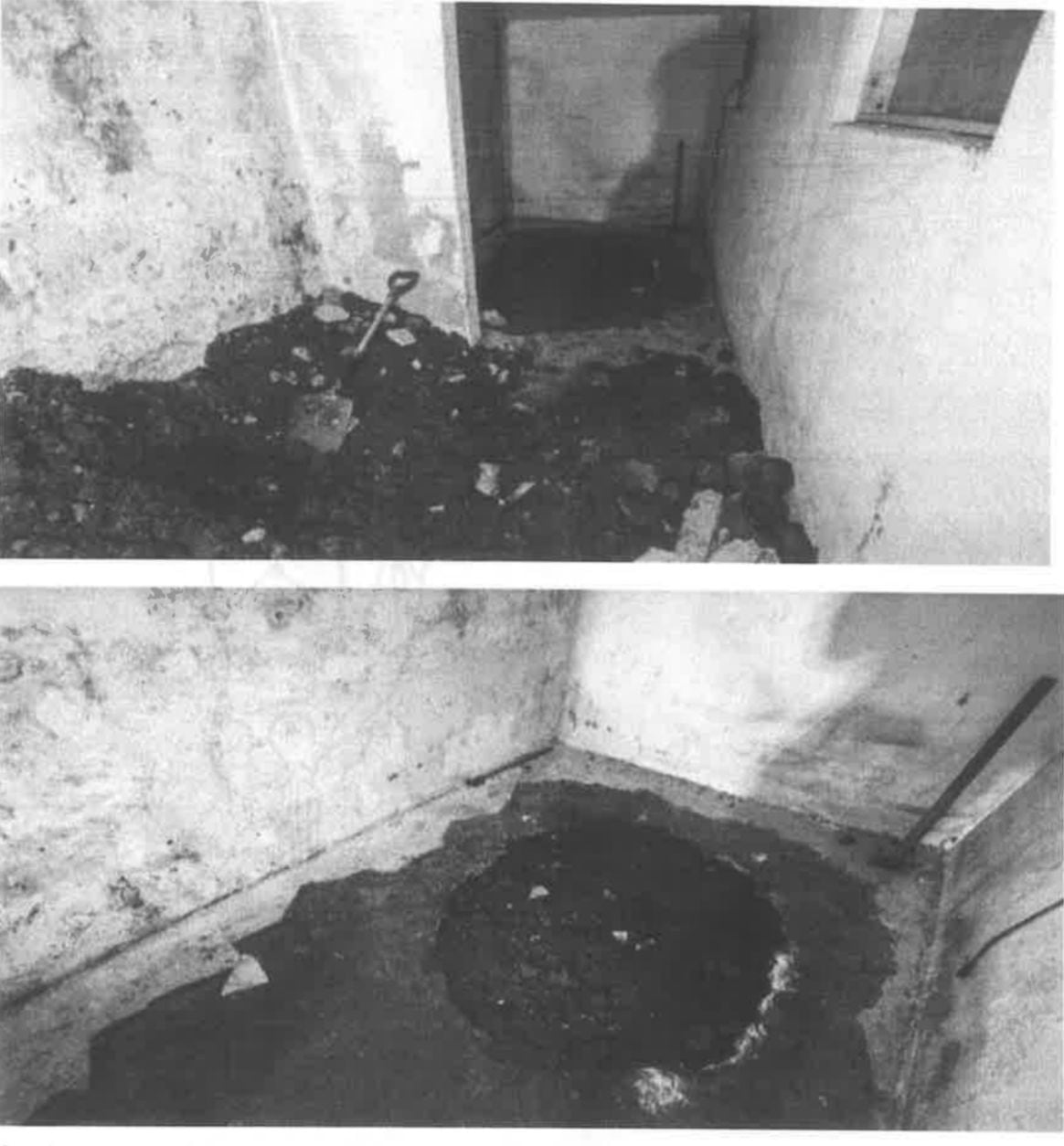 Los cuerpos de los primos fueron enterrados en esta fosa.