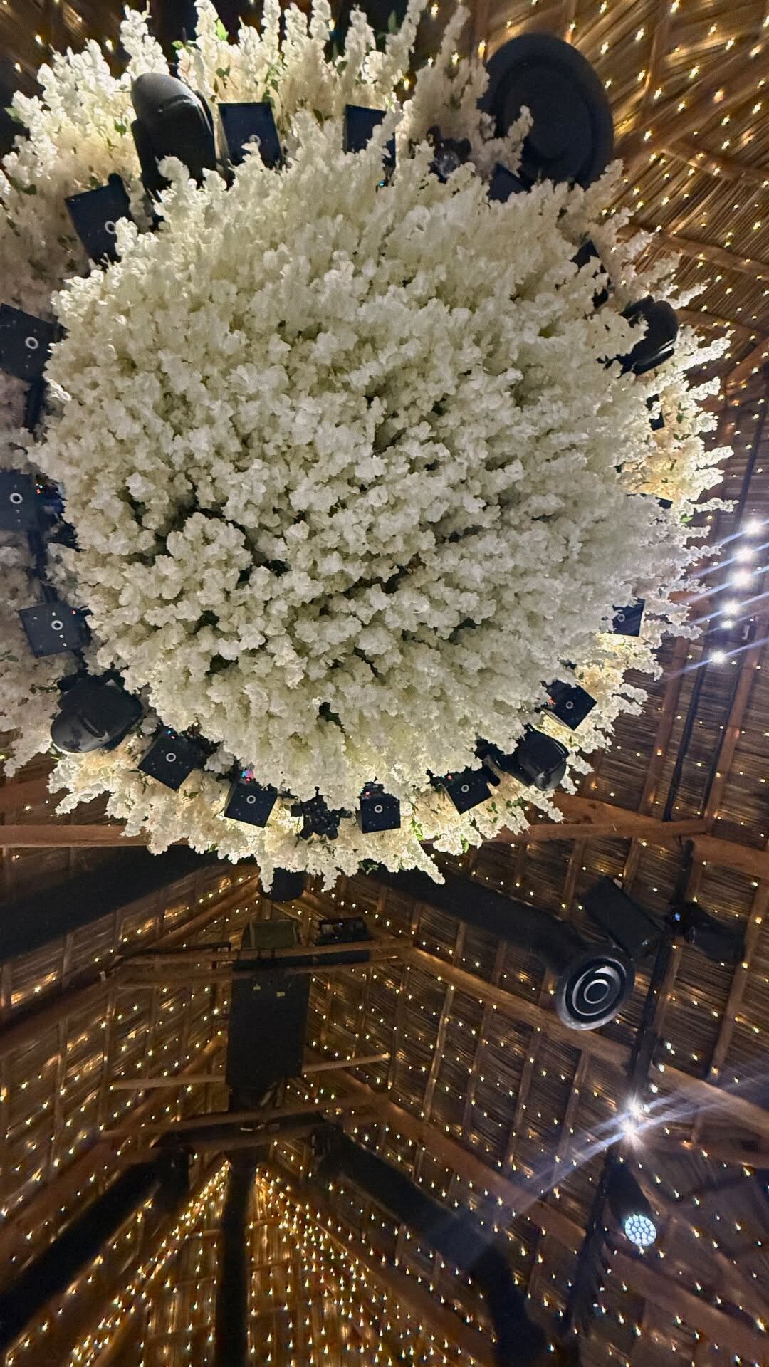 Linda Liz, hija mayor de Lynda Díaz