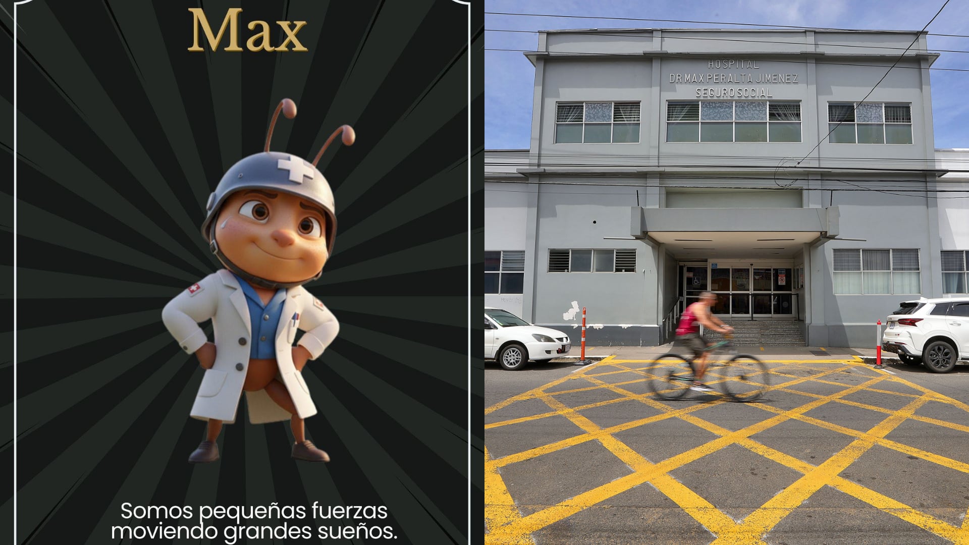 Mascota Hospital Max Peralta