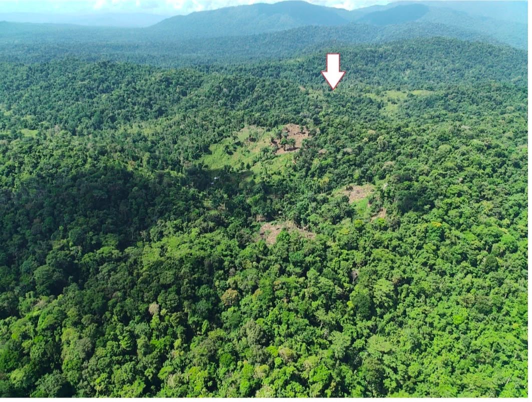 Oficiales de la Sección de Crimen Organizado del OIJ de Limón, verificaron cono drones, que esta era la zona en Valle la Estrella, donde se ocultaba alias Guato y su esposa.