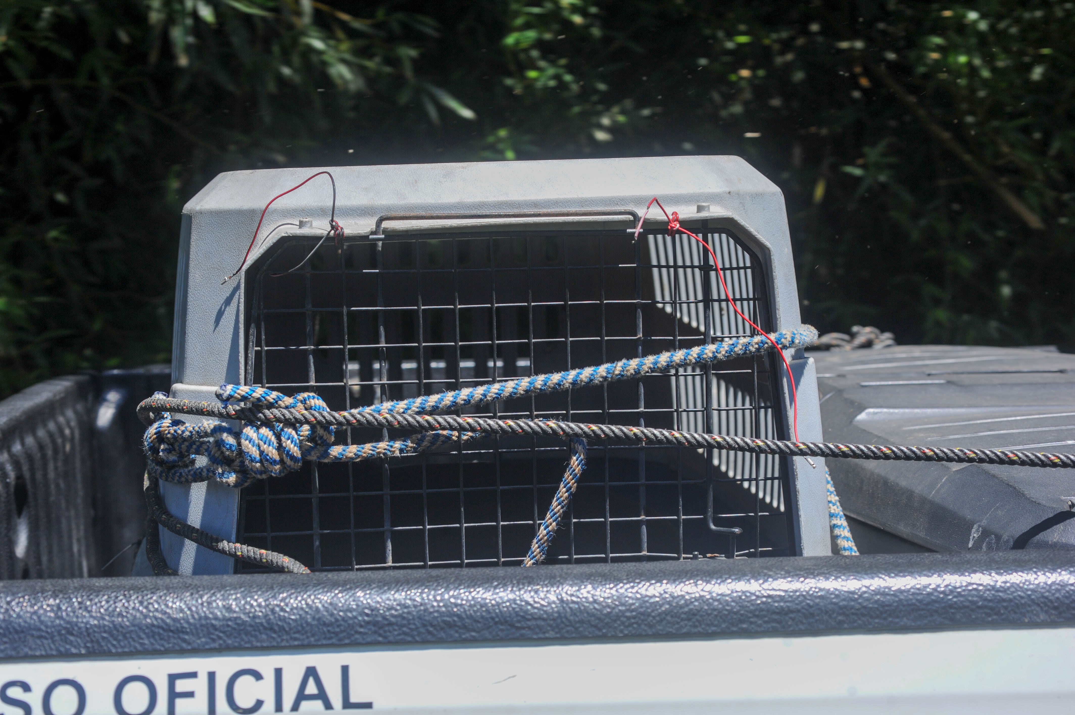 17/04/2026 San Geronimo de Moravia calle el tornillal, ataque de un perro que ocasiona la muerte de un Fernando Fernández. Fotografía: Marvin Caravaca.
