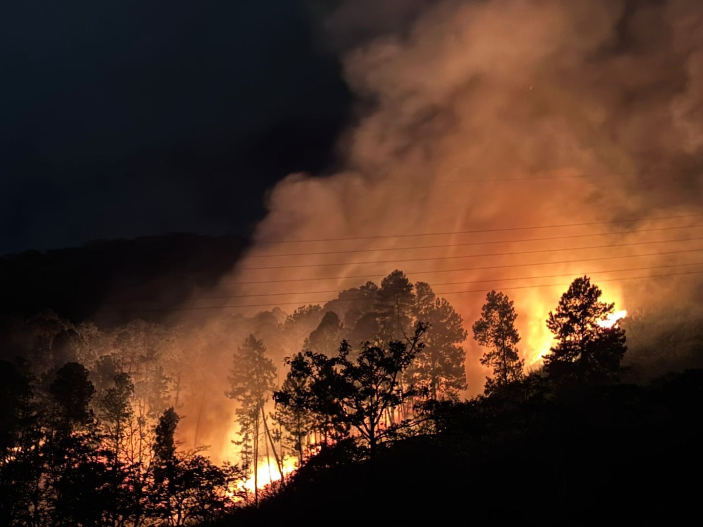 Incendio de gran magnitud consume charral en Gravilias de Desamparados