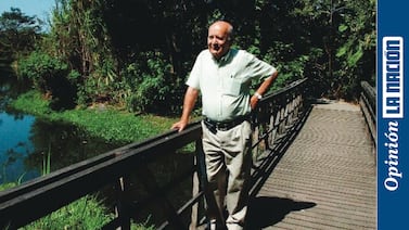 Cayó un roble, pero dejó semilla