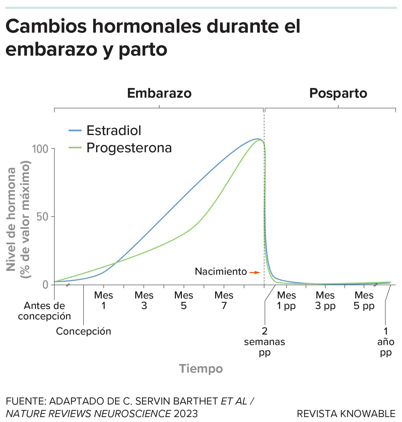 Gráfico de las hormonas durante el parto y posparto.