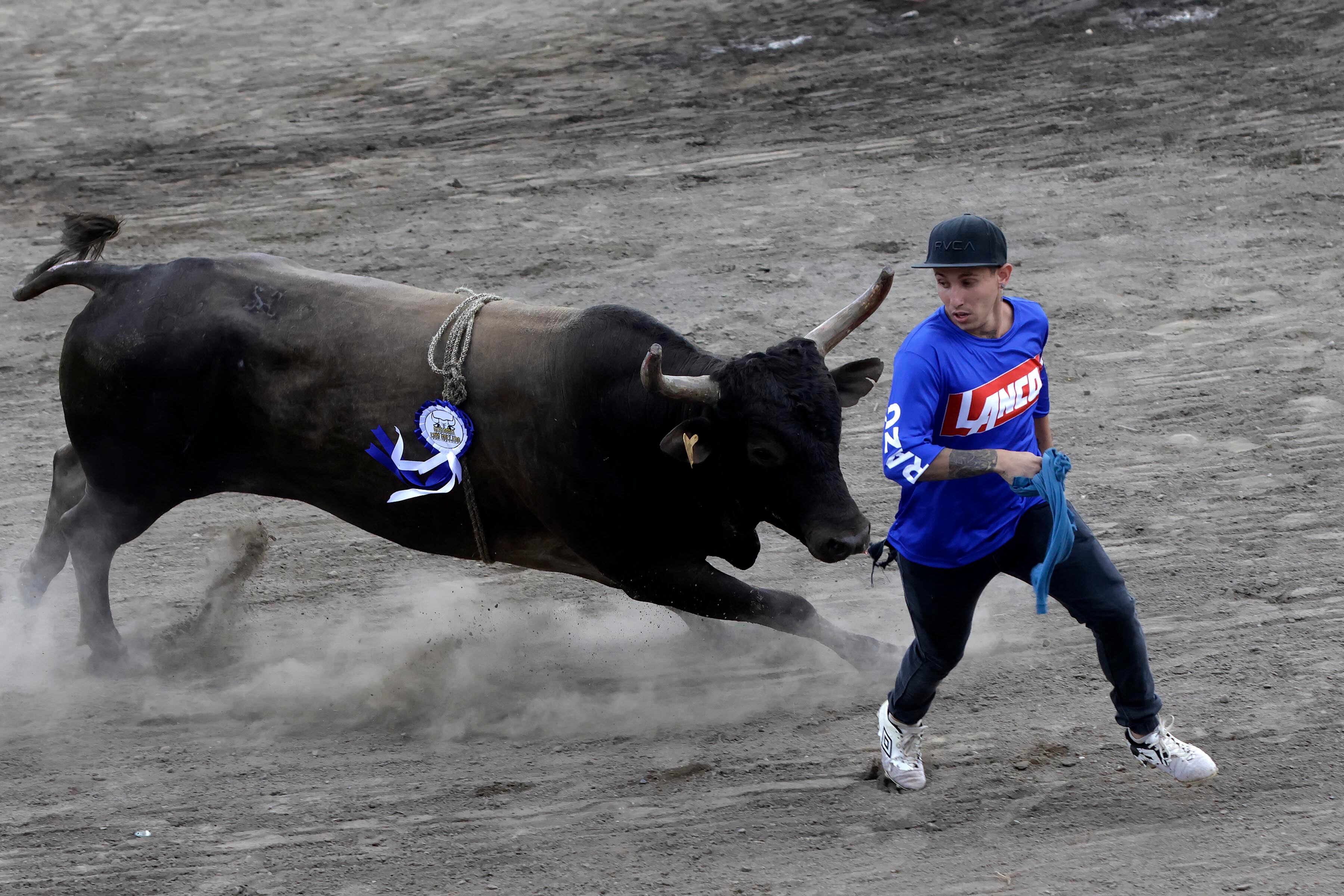 Imágenes de corridas de toros. En una un montador sobre un toro de color café con negro, otra de un torero improvisando huyendo de un toro. La última imagen es de Carlos Álvarez con Andrés Zamora, presentadores de las corridas de toros de Teletica y Repretel.