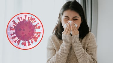 ¿Una fuerte gripe circula en Costa Rica? Esto es todo lo que debe saber sobre la variante K de influenza H3N2
