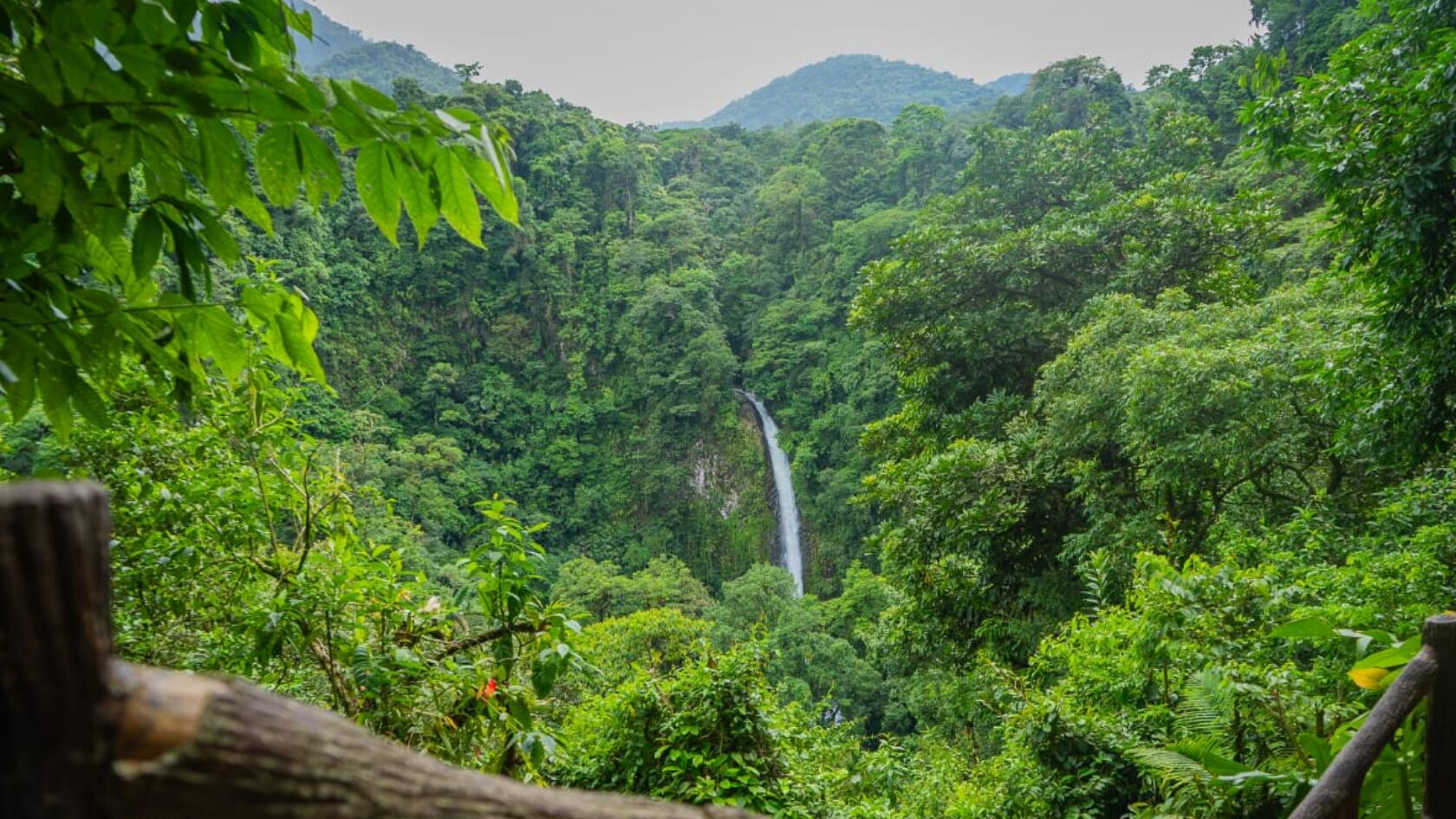 Atracción sancarleña alcanzó la categoría más alta de Travellers’ Choice 2025 y destinó los ingresos de la visitación a becas, seguridad, deporte y cultura en La Fortuna.