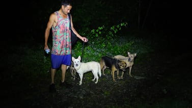 El pescador que no soltó la correa: Kevin y sus perras sobrevivieron a crecida de río Guácimo