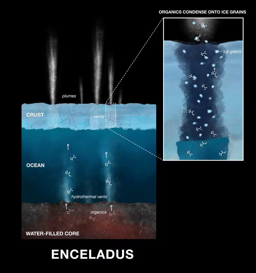El proceso de moléculas orgánicas ligeras, solubles y reactivas que llegan a los granos de hielo expulsados en los chorros de agua de la luna Encélado, de Saturno, donde fueron detectadas por la sonda Cassini.