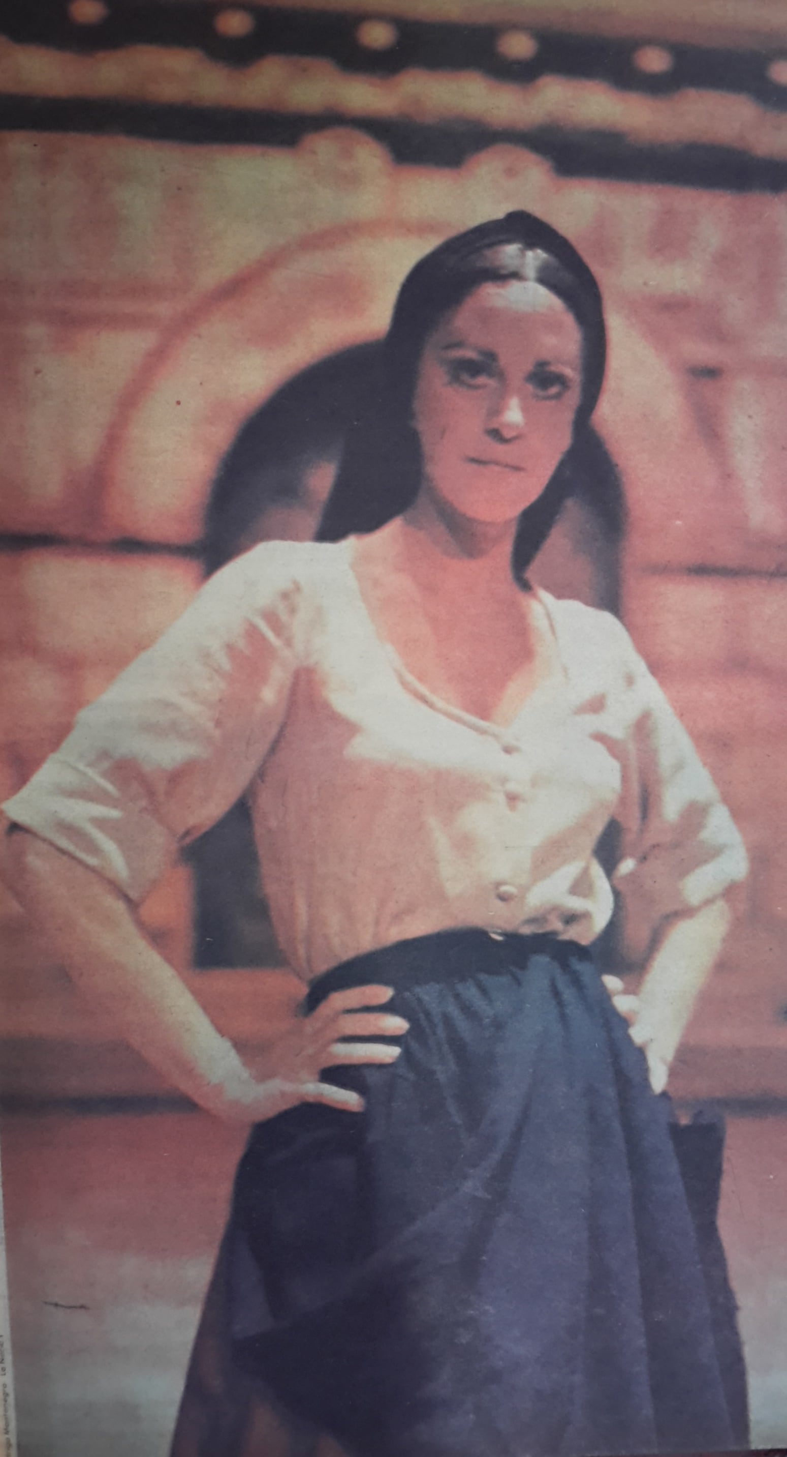 HAYDEE DE LEV -MARI GAILA- HOGAR DE HOY 14 DE MARZO DE 1981.PORTADA