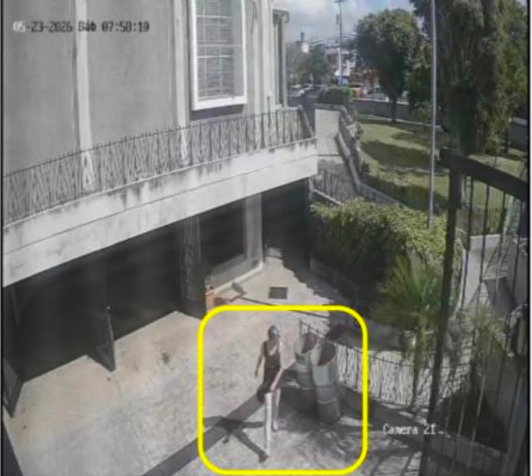 Caso de daños contra la basílica