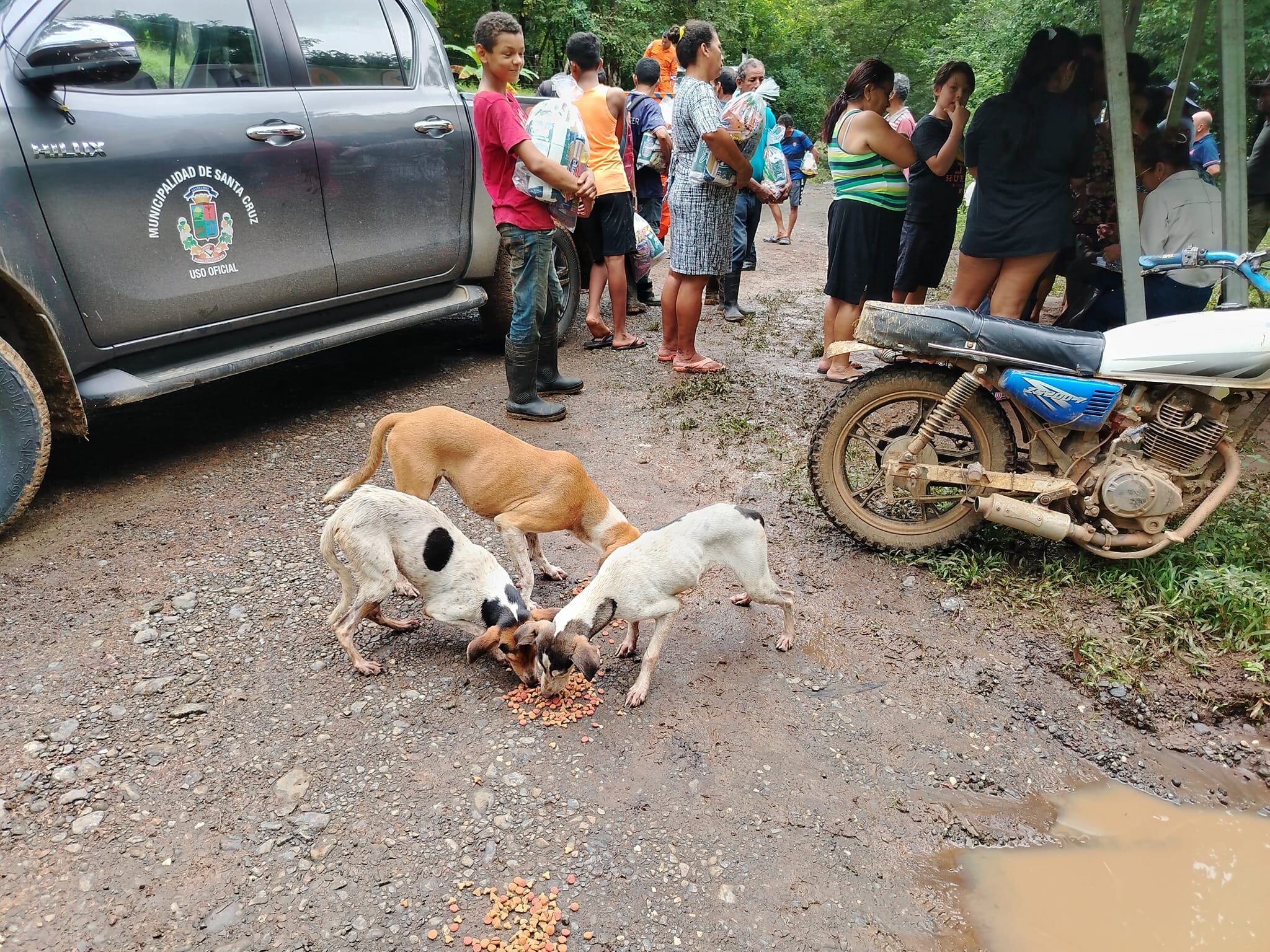 Los animales de compañía en Santa Cruz también recibieron alimento, pues también fueron afectados por el fuerte temporal. Foto: Municipalidad de Santa Cruz.