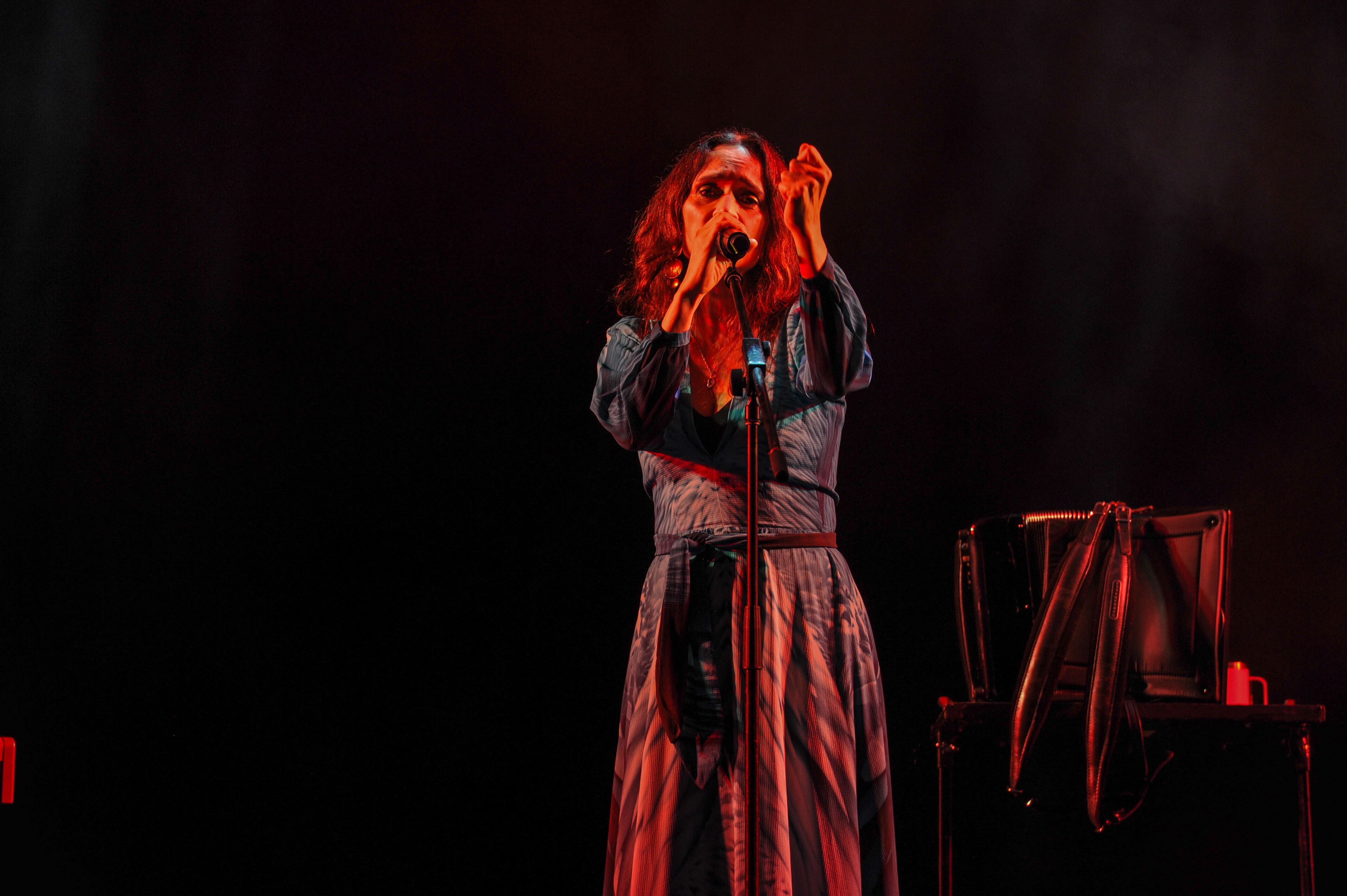 Concierto de Julieta Venegas