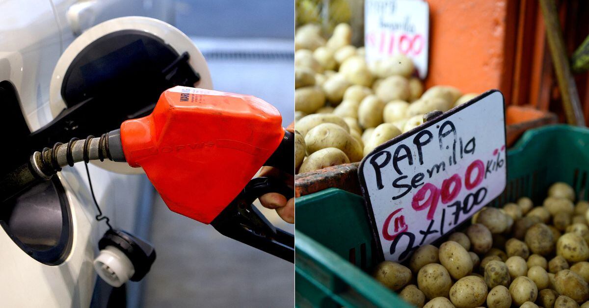 En la imagen una gasolinera y unas papas