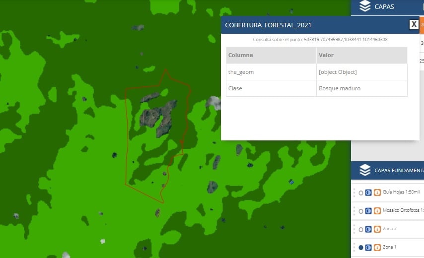 En la imagen, delineada en color rojo aparece la propiedad en corredor biológico Paso La Danta que obtuvo la viabilidad ambiental del Setena. Ahí se observa que está cubierta en casi su totalidad por bosque primario (verde oscuro) y segundo (verde claro), según el mapa de cobertura forestal 2021, realizado por el Sinac y el Minae, y que aparece en el Sistema Nacional de Información Territorial (SNIT).