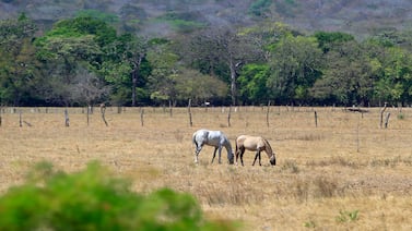 Editorial: Más de 200 acciones previstas para afrontar El Niño, pero ¿quién las articula?