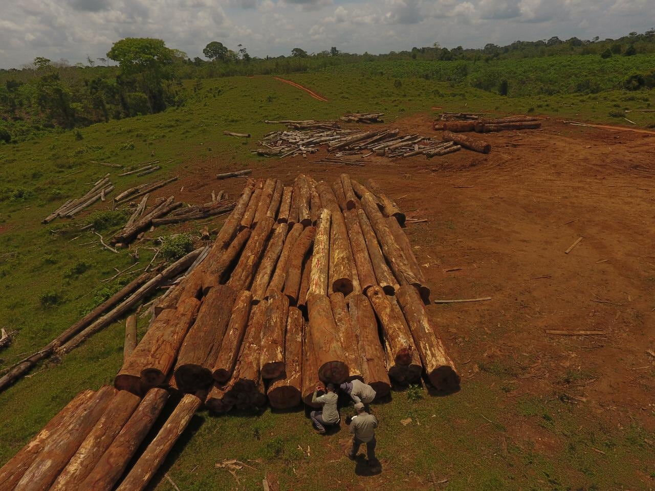 La madera no fue talada en ninguna de las propiedades en las que se encontró, aún se investiga la procedencia. Foto cortesía Sinac