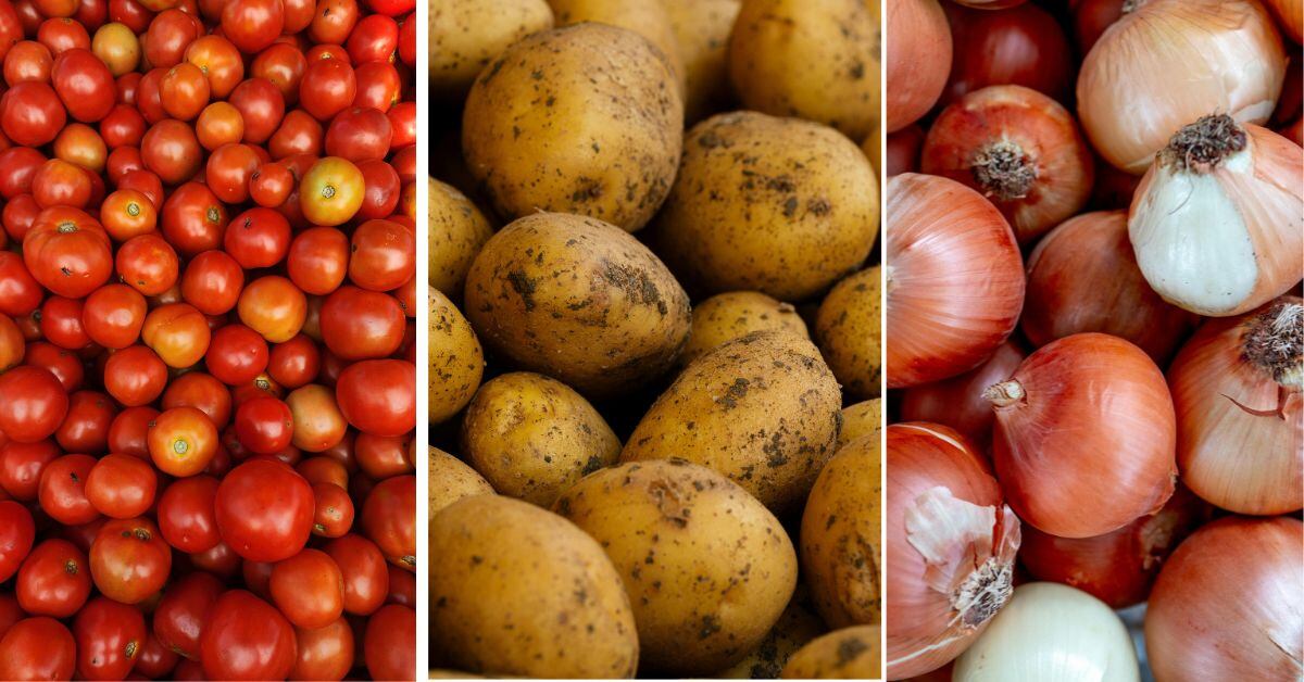 Inflación negativa en Costa Rica: Estos productos bajaron más de precio en 2025