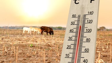 ¿Qué puede hacerse para bajar el impacto del cambio climático en la salud?
