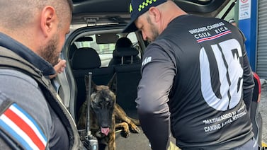 ¿Detuvieron a un futbolista con droga? Esto es todo lo que se sabe