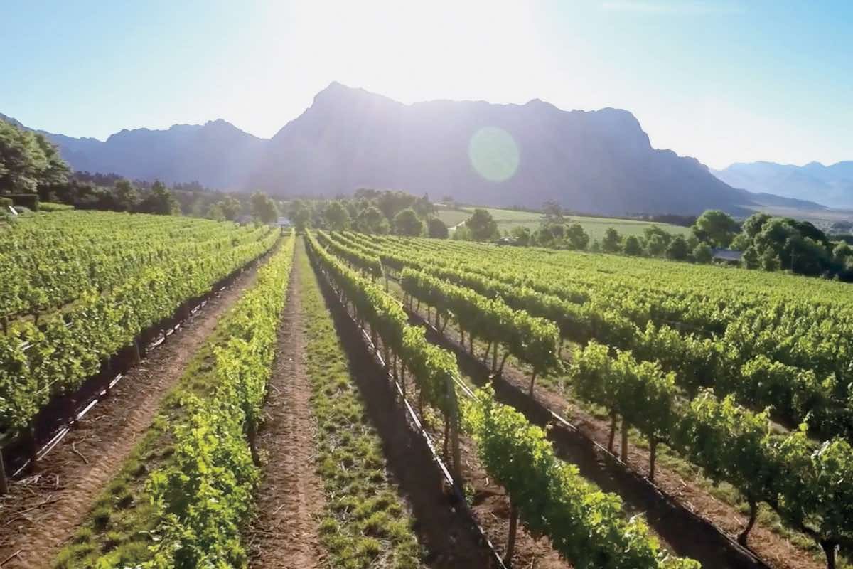 Pata Negra en Sabores