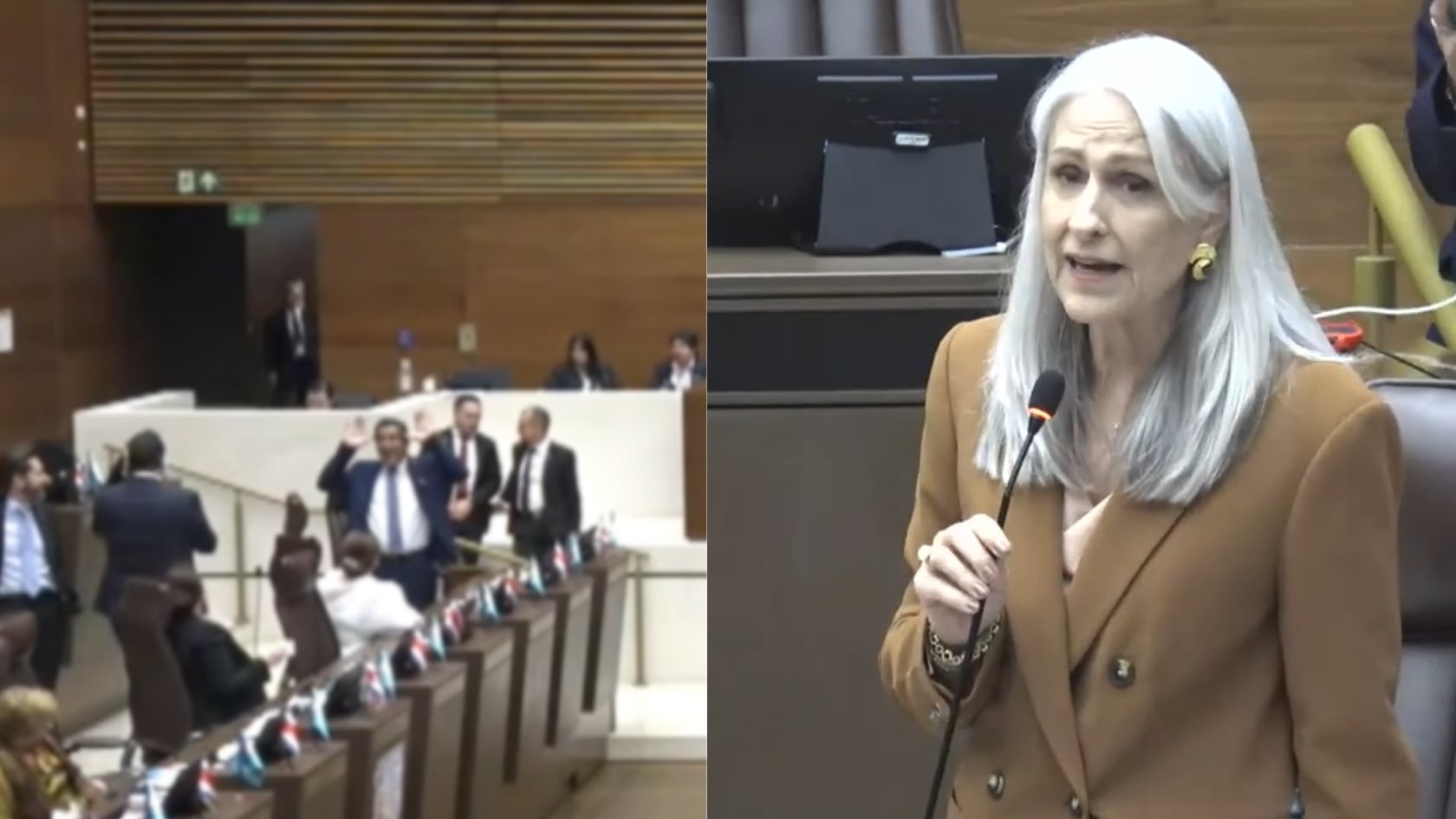 Nogui Acosta hizo un gesto de “lero, lero” desde su curul durante la sesión del Plenario Legislativo. La diputada Abril Gordienko cuestionó su comportamiento y le pidió respetar la investidura de su cargo.