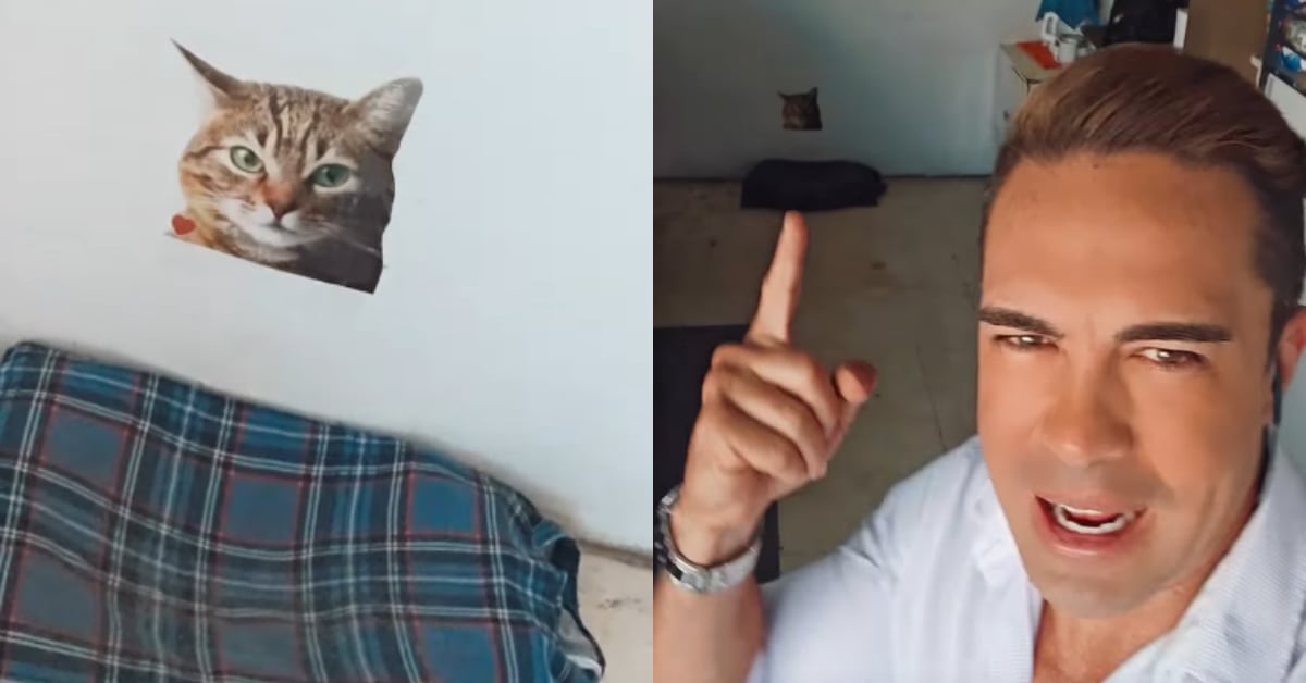 El presentador mostró la cama de la gata que duerme en la casa de 'Buen día'.