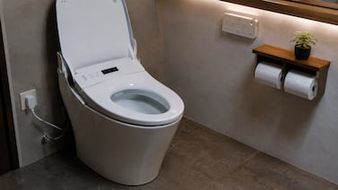 El papel higiénico pierde terreno: la alternativa más limpia y económica que gana espacio en los baños
