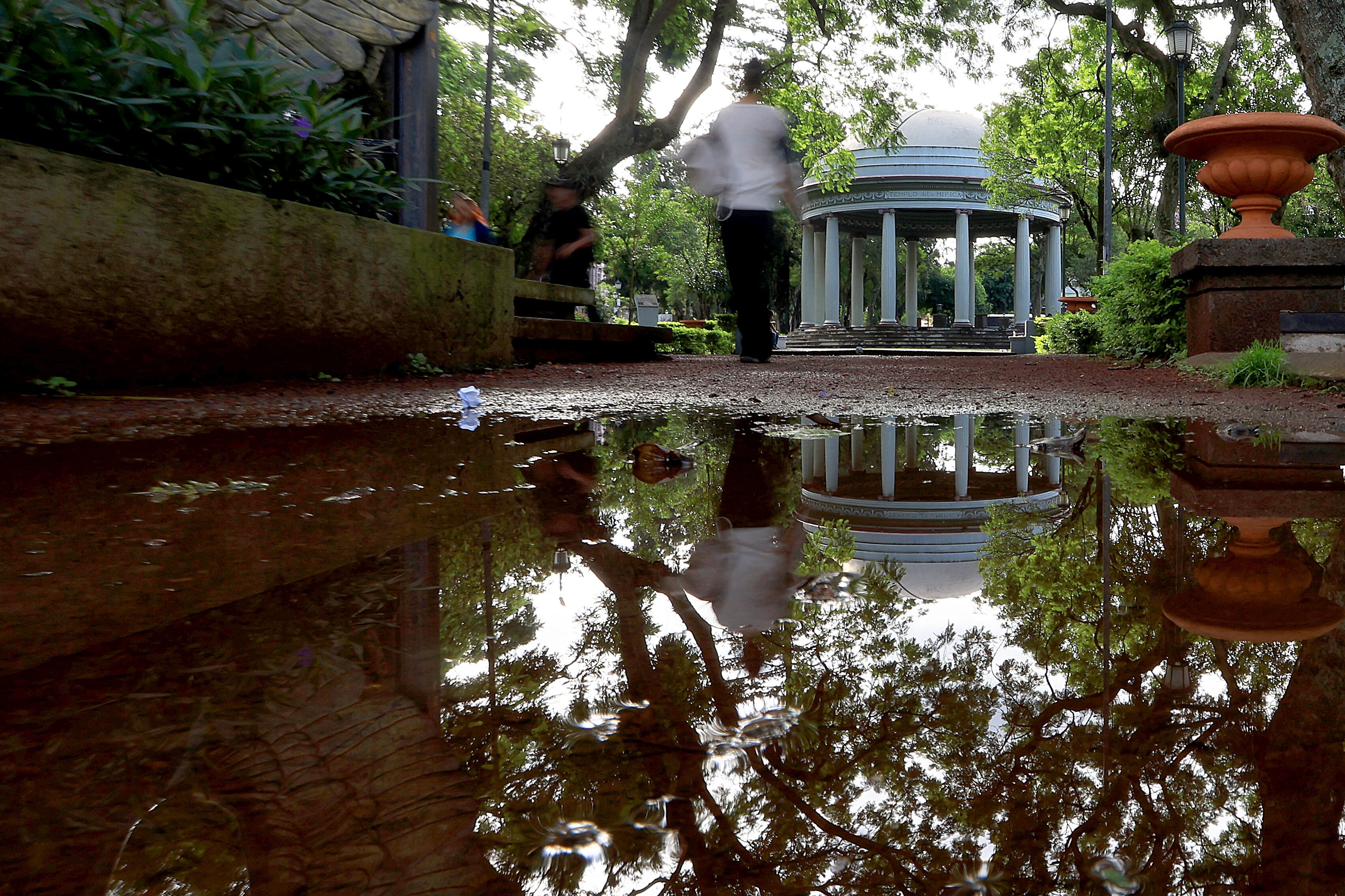 Agua empozada, después de la lluvia. Foto: Rafael Pacheco Granados