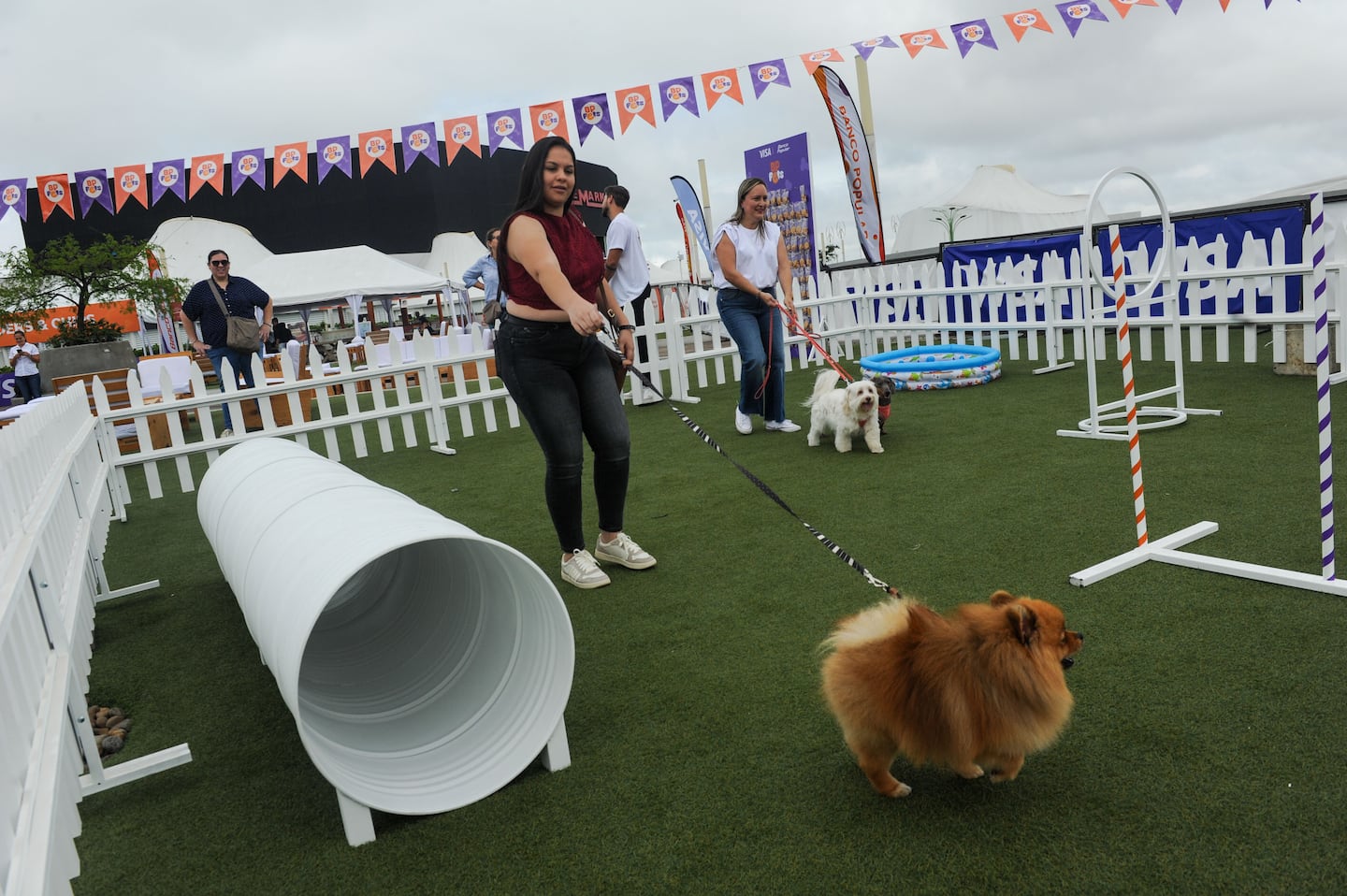 Finding Light in Darkness