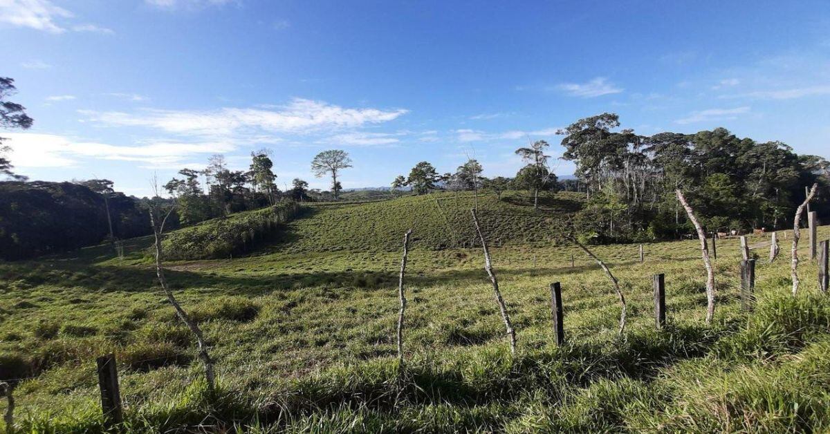 En la imagen un terreno de los que vende actualmente el INS.