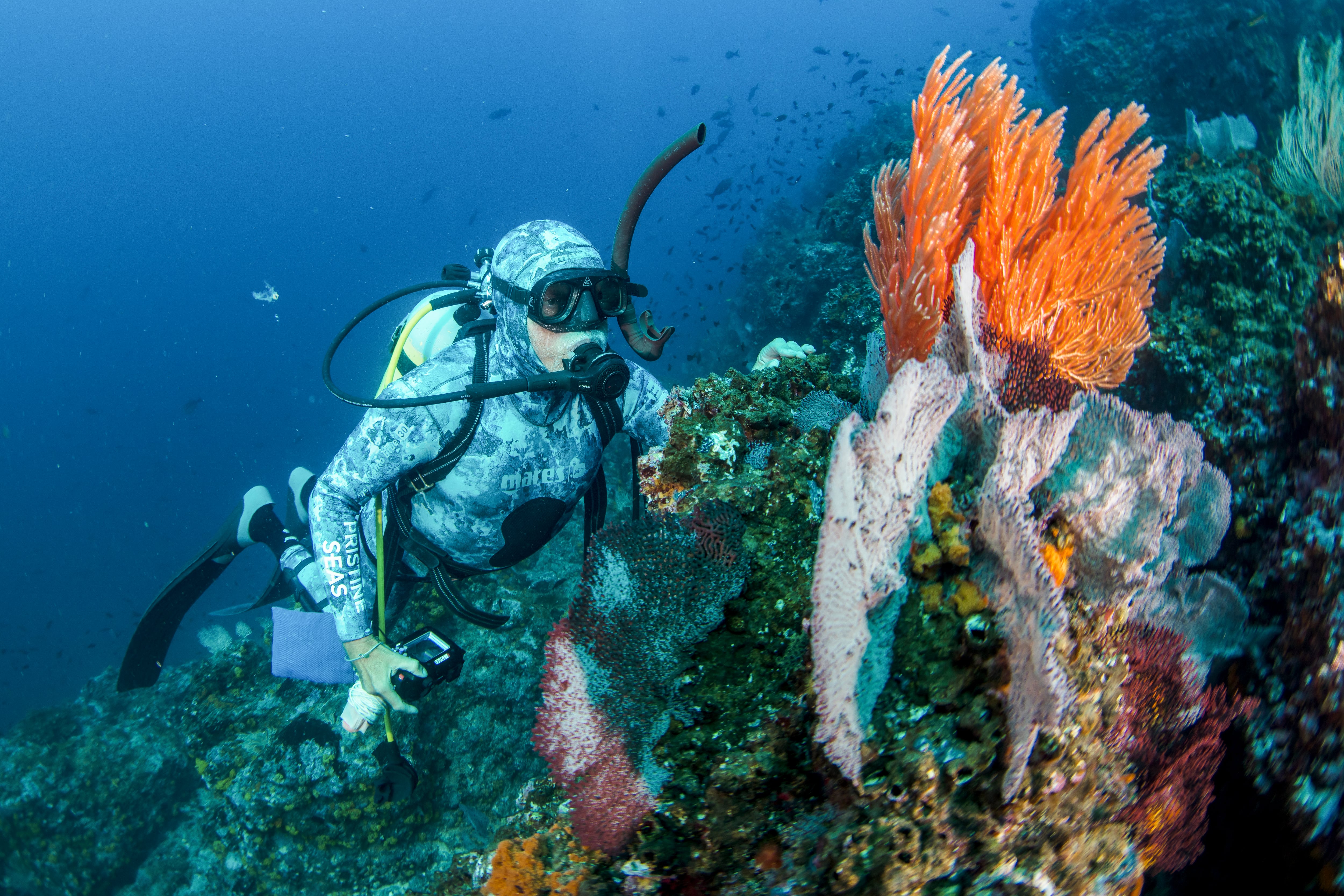 “Photograph by Enric Sala, National Geographic”. National Geographic Pristine Seas
www.NatGeo.org/PristineSeas.