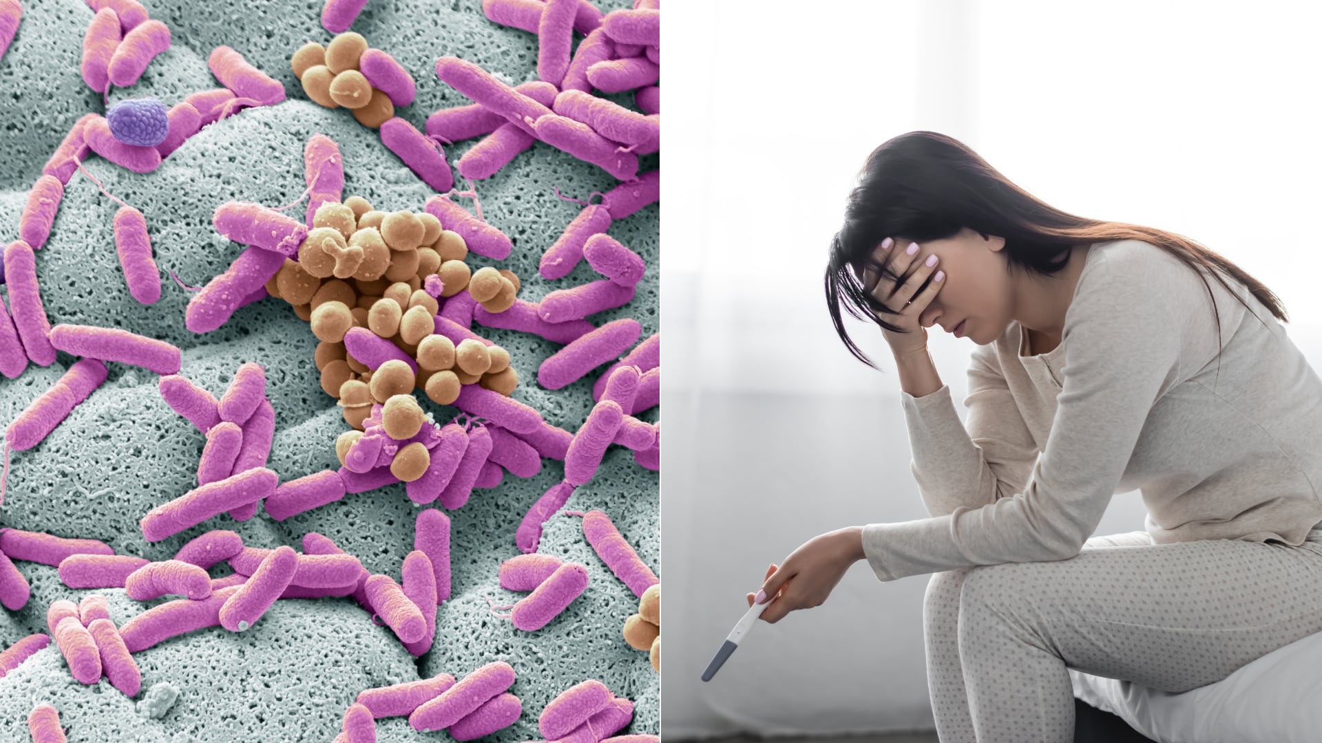 Desequilibrios en la microbiota afectan hormonas, inflamación y embarazo, según evidencia científica y especialistas.