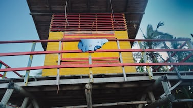 Sporting tiene una novedad y la estrenará en el partido contra Saprissa