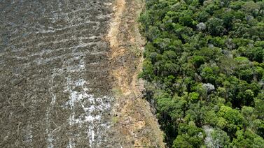 La Amazonía ha perdido una superficie equivalente a la de España en 40 años, según un nuevo estudio