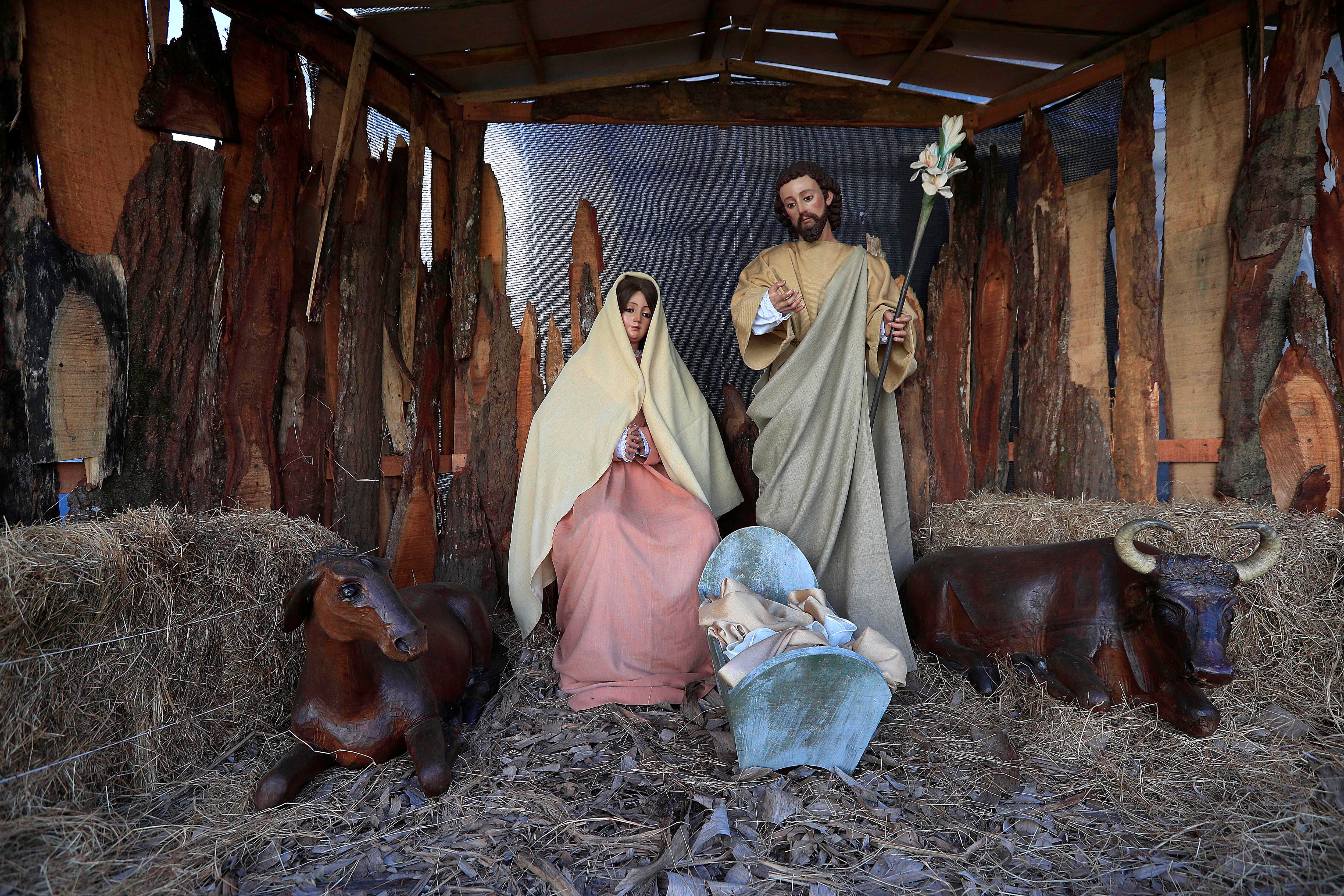 Portal navideño con figuras tradicionales de María, José, el Niño Jesús, una mula y un buey, en un entorno rural costarricense.
