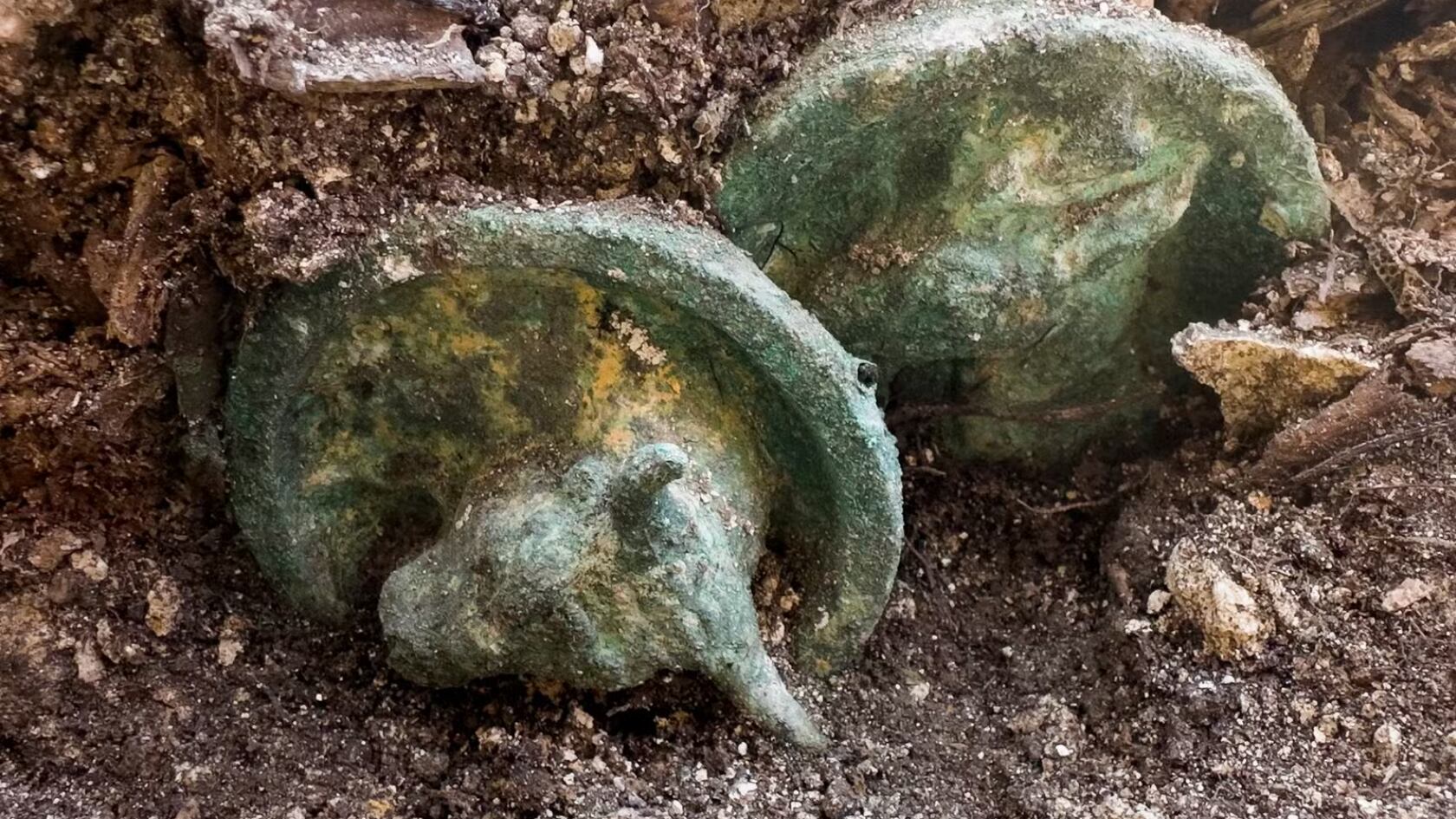 Arneses para caballos