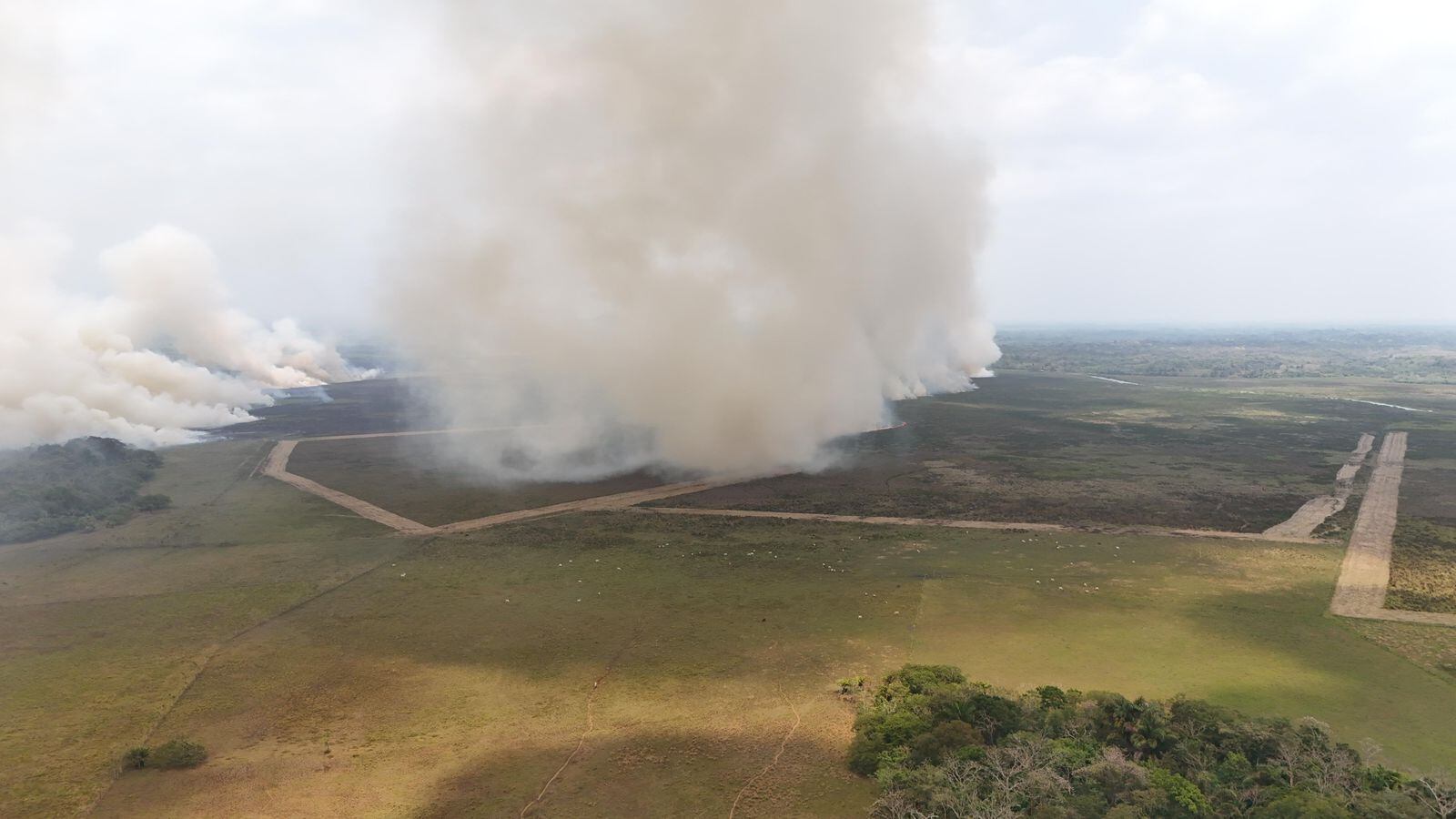 Uno de los focos activos ya consumió cerca de 200 hectáreas del humedal dentro del refugio de vida silvestre Medio Queso al norte del país. Foto: Édgar Chinchilla.