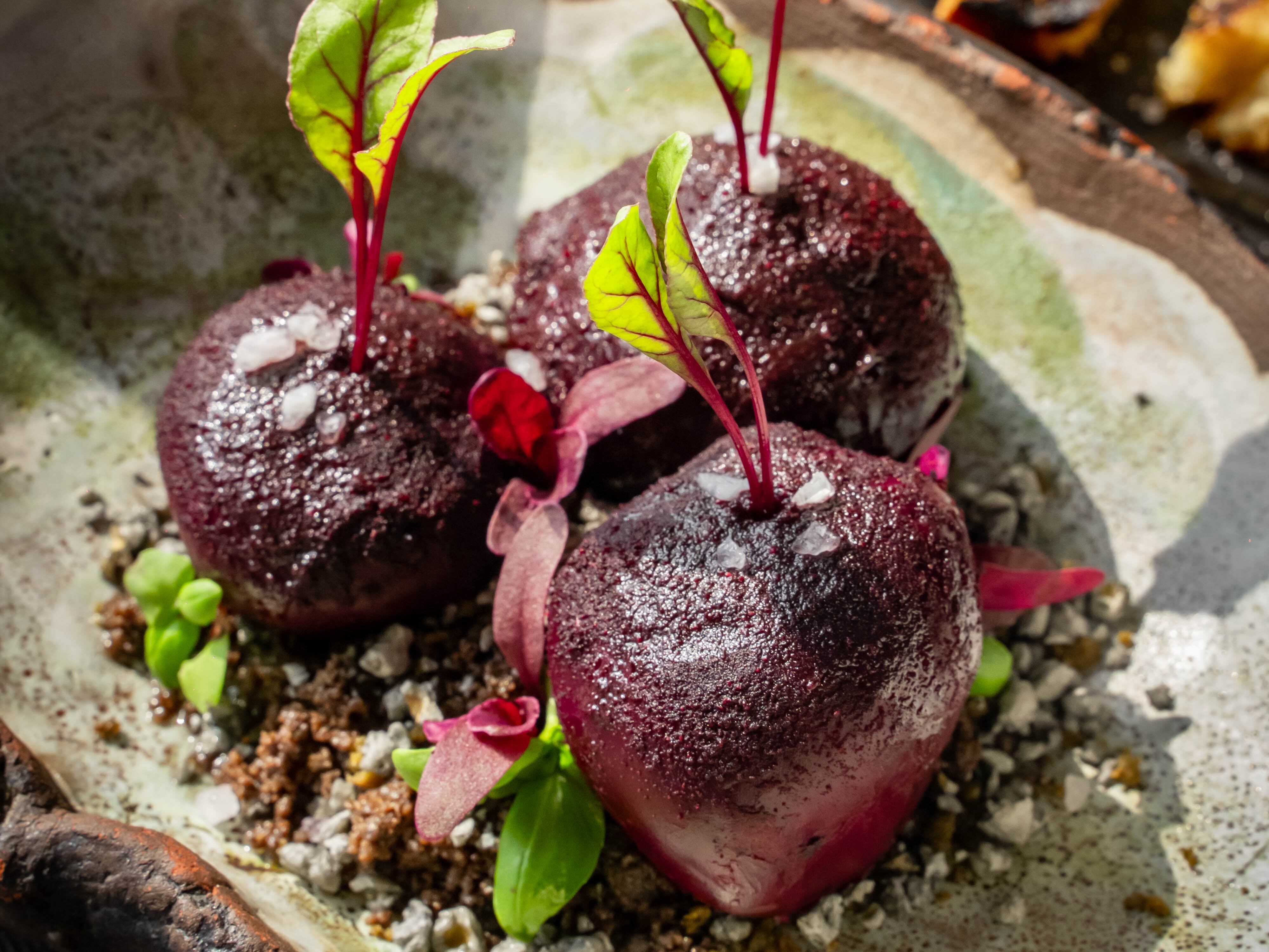 En la foto se aprecia una entrada llamada Queso y Remolacha de la Huerta, una de las entradas estrella del restaurante costarricense Conservatorium, que recientemente fue catalogado como uno de los 100 mejores de Latinoamérica.