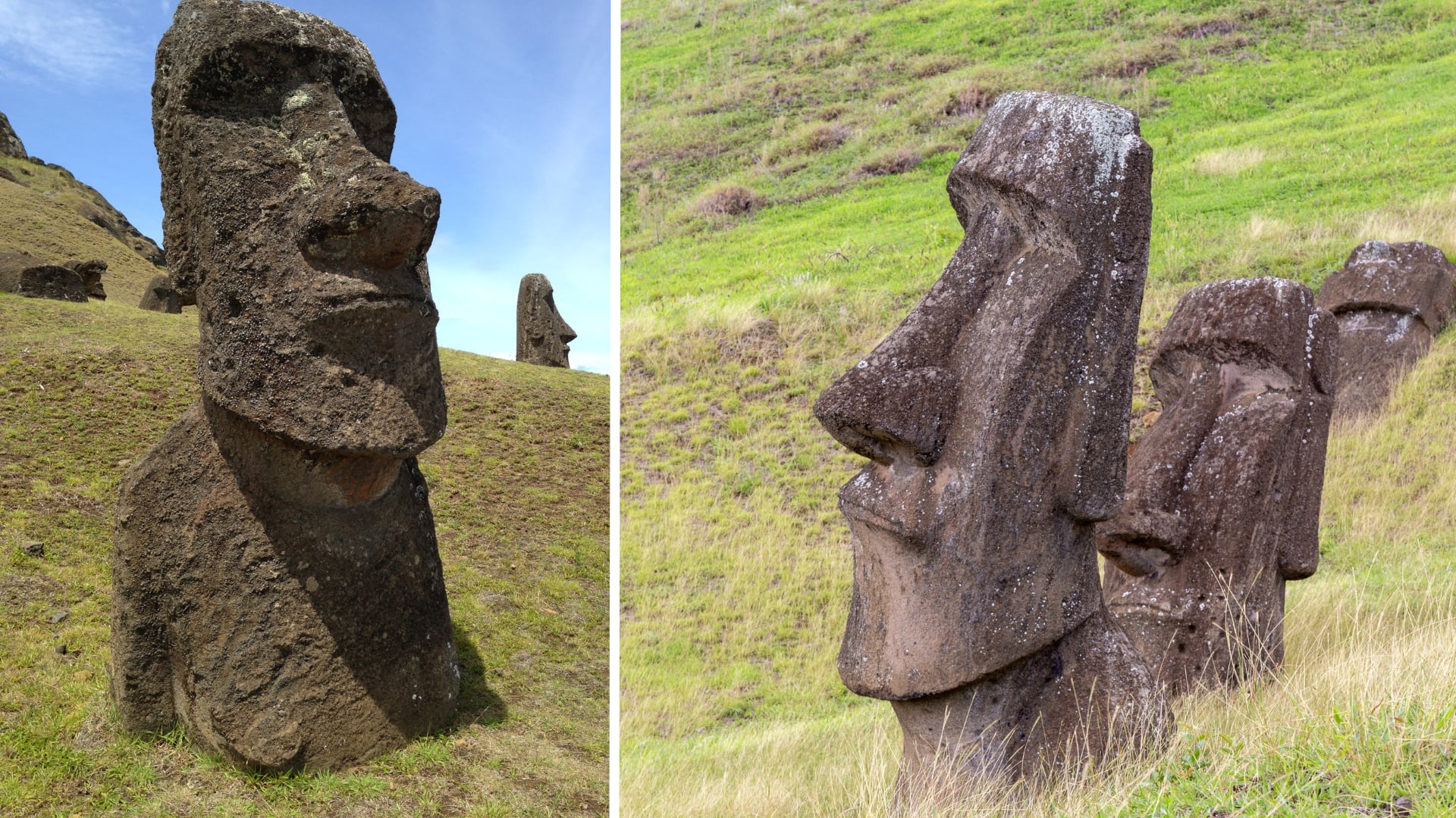 Arqueólogos resuelven misterio sobre origen de estatuas gigantes en Isla de  Pascua | La Nación
