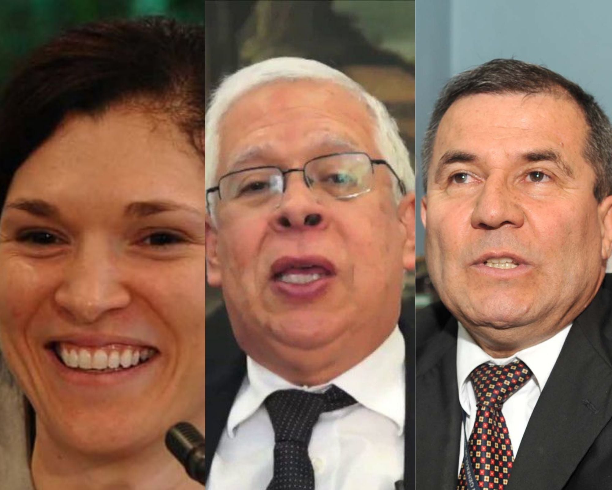 Laura Alfaro, exministra de Planificación; Rubén Hernández, abogado constitucionalista, y José Joaquín Arguedas, exdirector del Servicio Civil participaron en el foro virtual La necesaria reforma del Estado, organizado por La Nación.