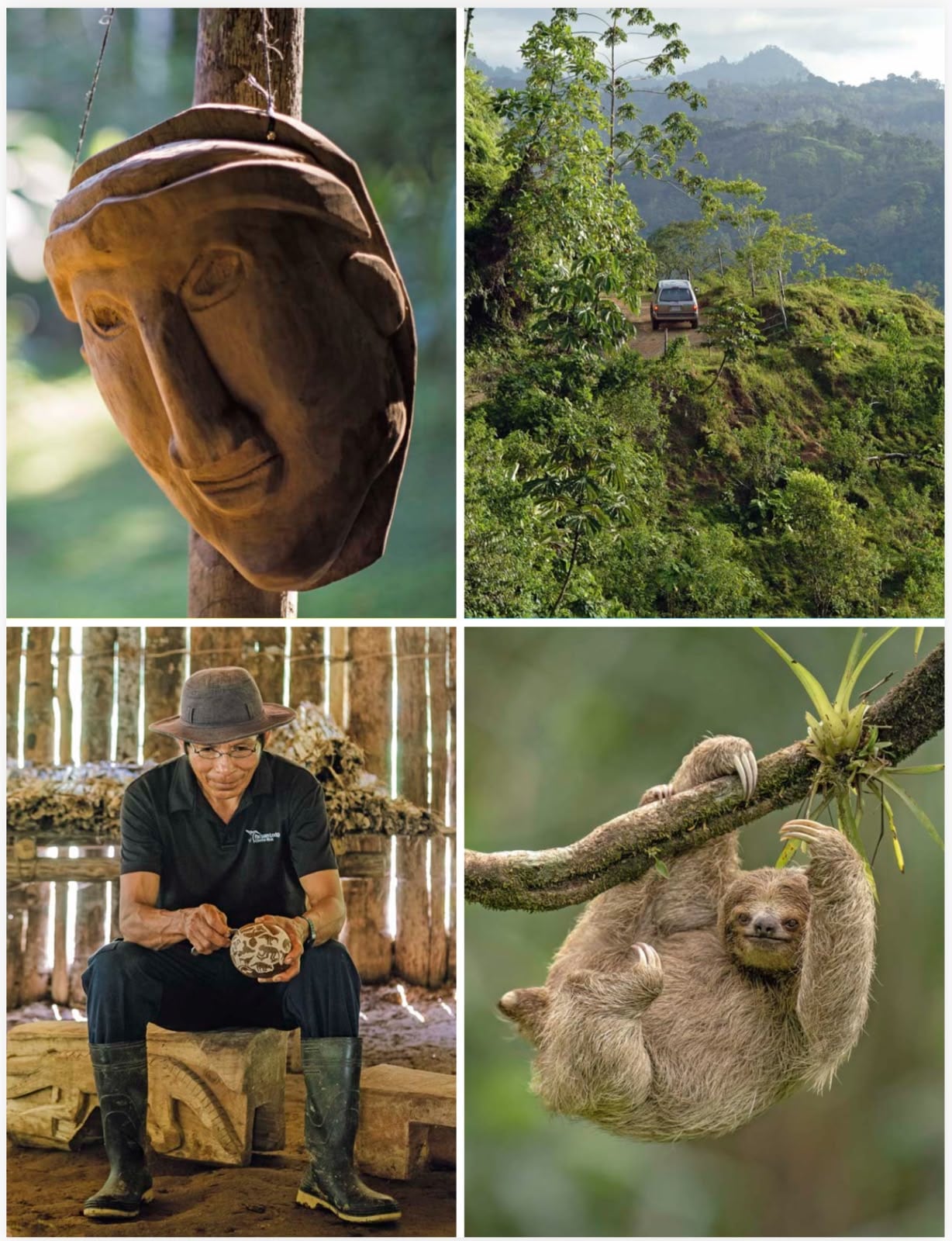 fotografía del reportaje que muestra naturaleza
