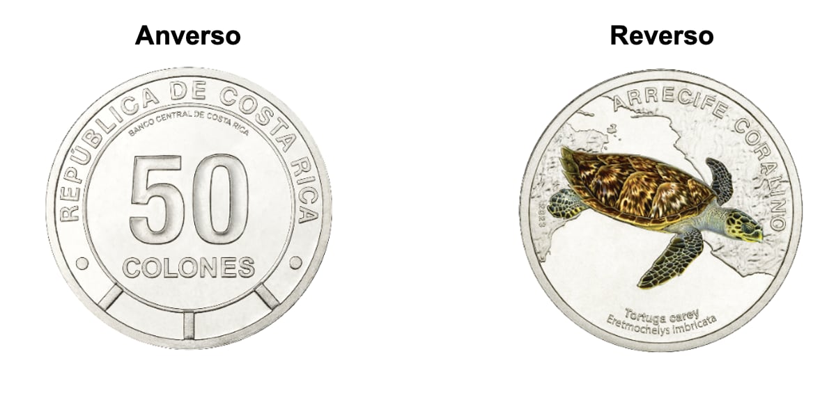Moneda de 50 colones coleccionable con tortuga carey en el reverso.