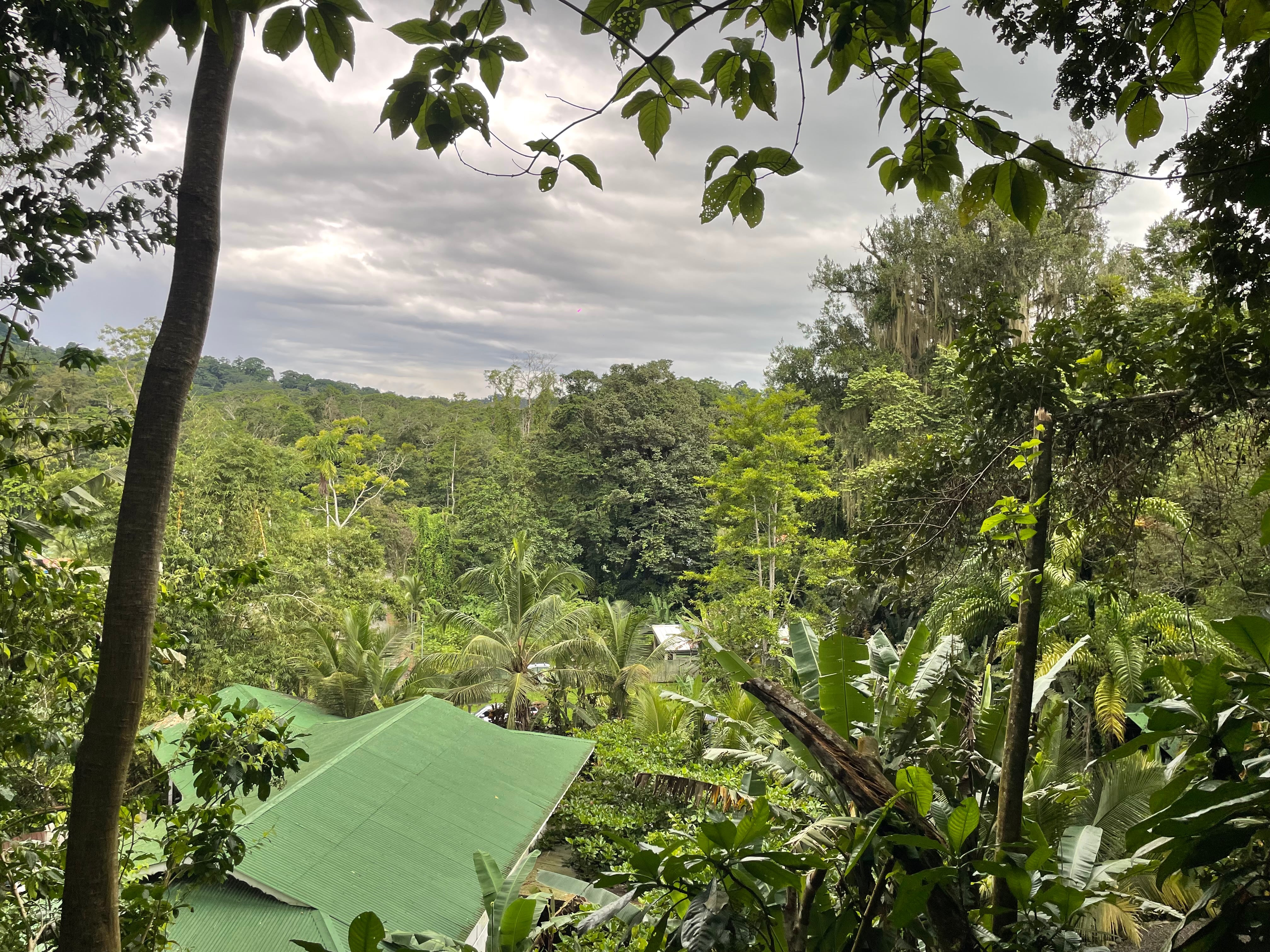 Vista desde la cabaña Blixen en Colina Secreta, Puerto Viejo.