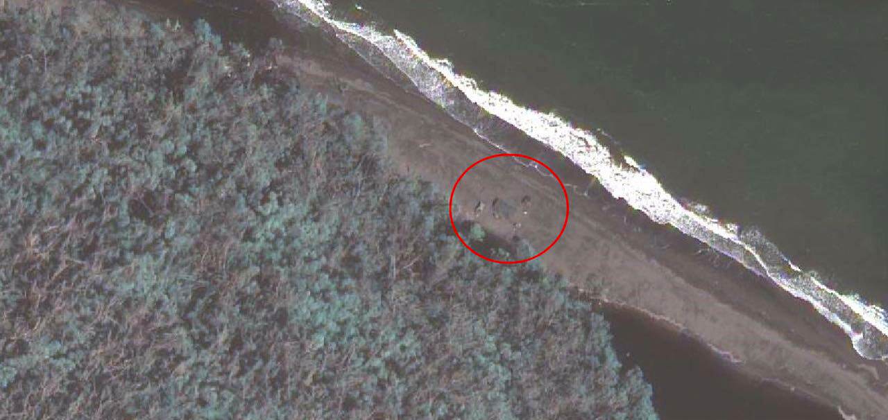 Imagen del campamento militar nicaragüense en isla Portillos, extremo norte de isla Calero. Según el Gobierno de Costa Rica, los militares están en suelo costarricense.