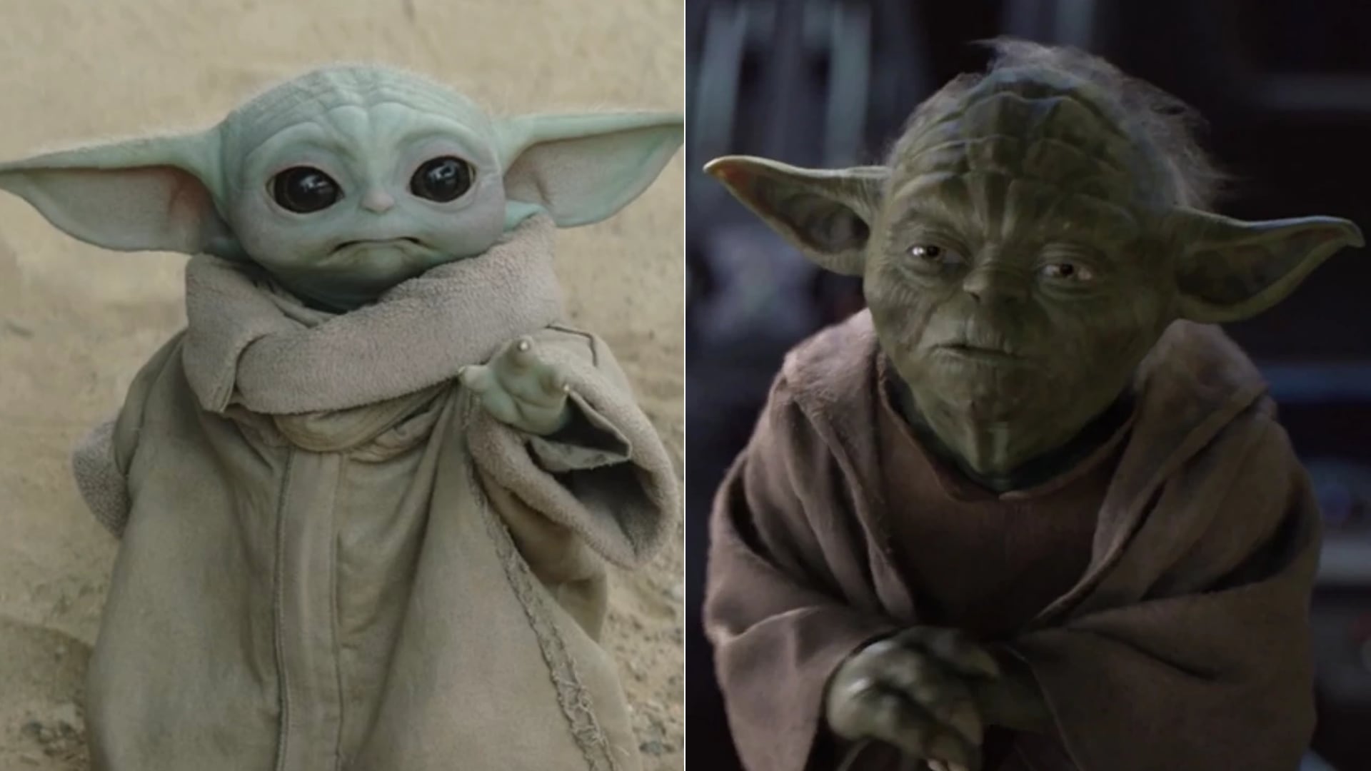 Grogu comparte especie con Yoda, pero tiene un origen distinto y una historia propia dentro de la saga.