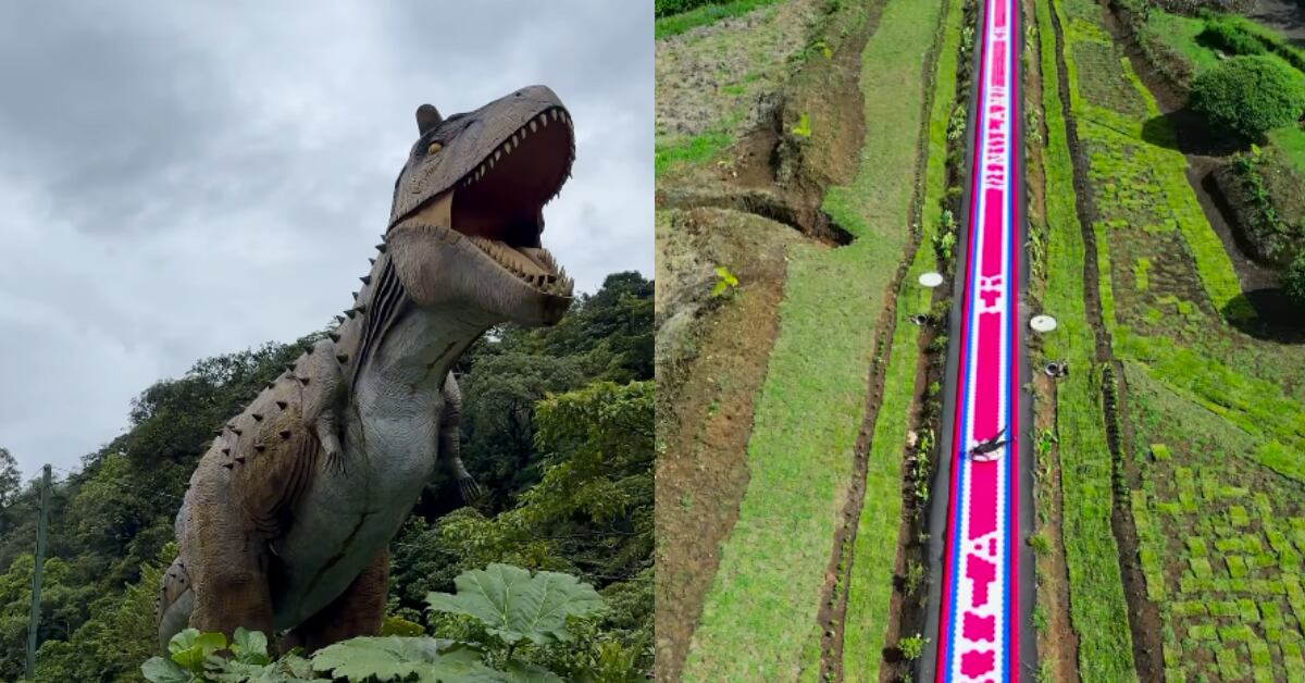 Dinoland tiene más de 30 dinosaurios animados con sonido y movimiento. Además, tiene un tobogán de casi 200 metros de largo.